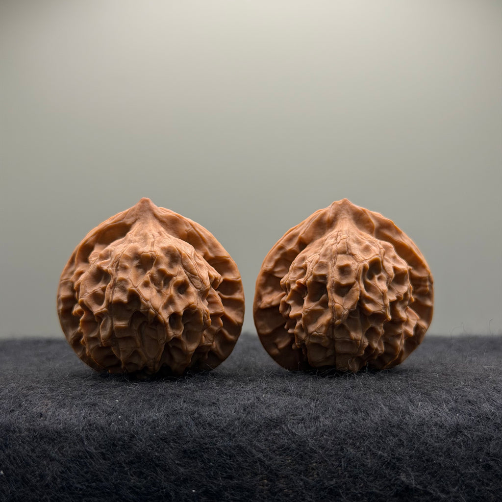 Wild · Mandala Wenwan Walnut  · 38mm · Natural · Collector Ritual