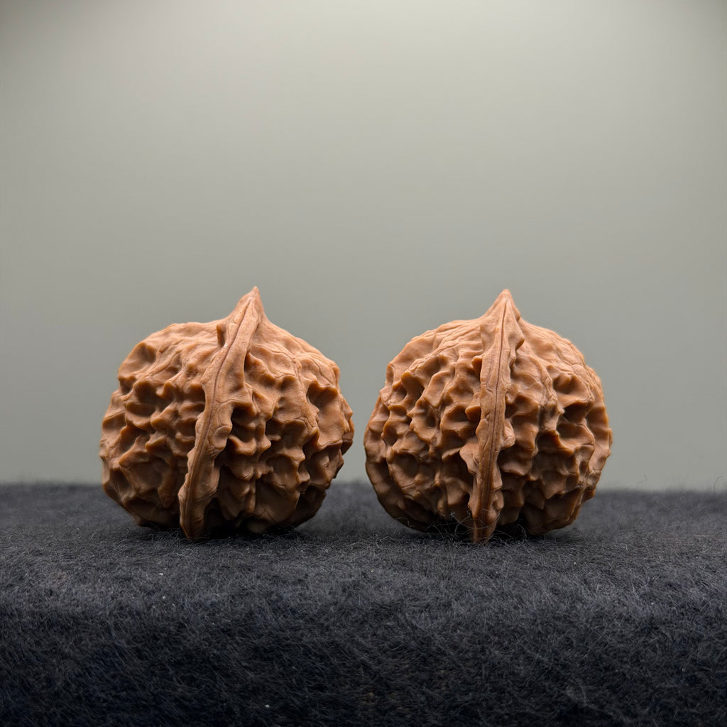 Wild · Mandala Wenwan Walnut  · 38mm · Natural · Collector Ritual