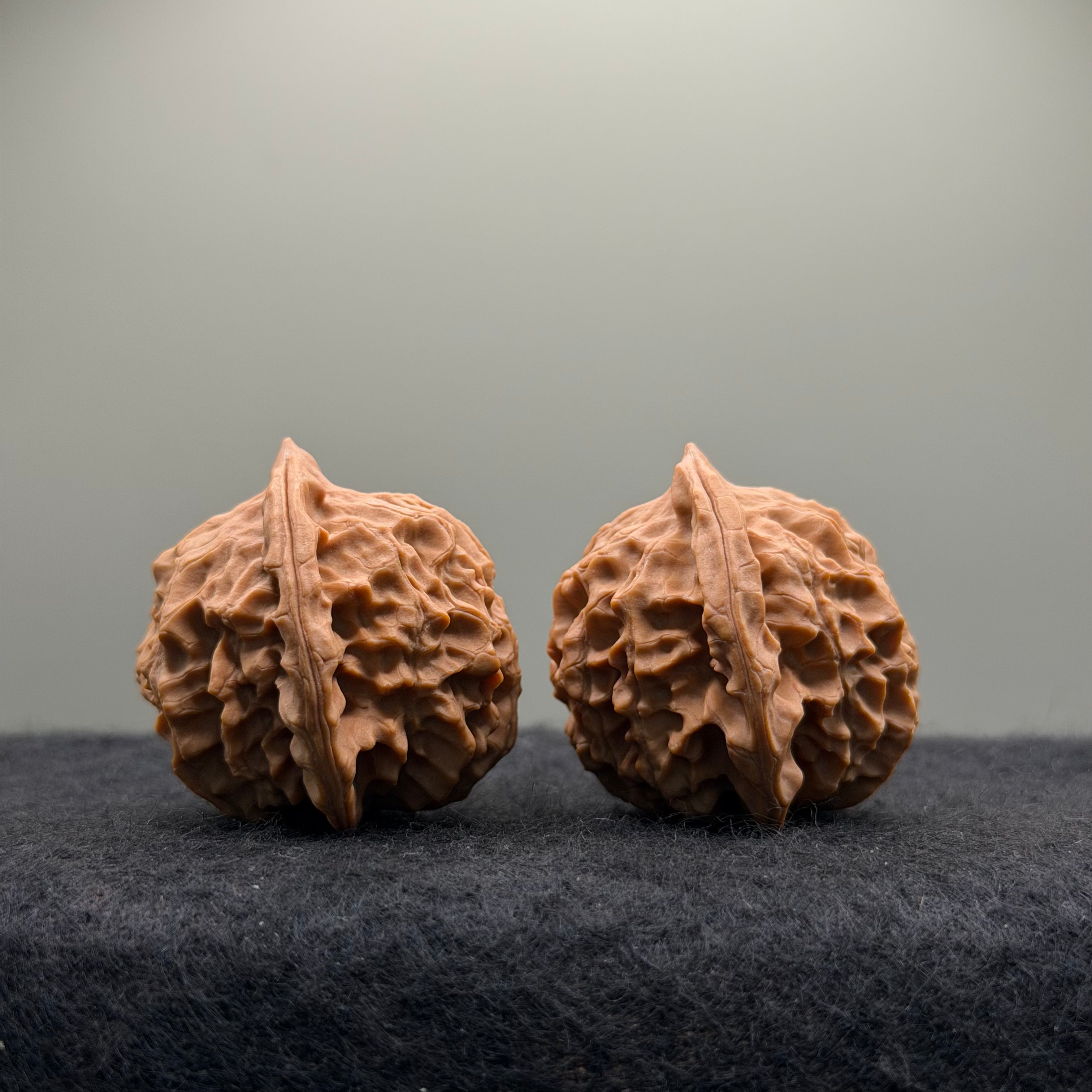 Wild · Mandala Wenwan Walnut  · 38mm · Natural · Collector Ritual