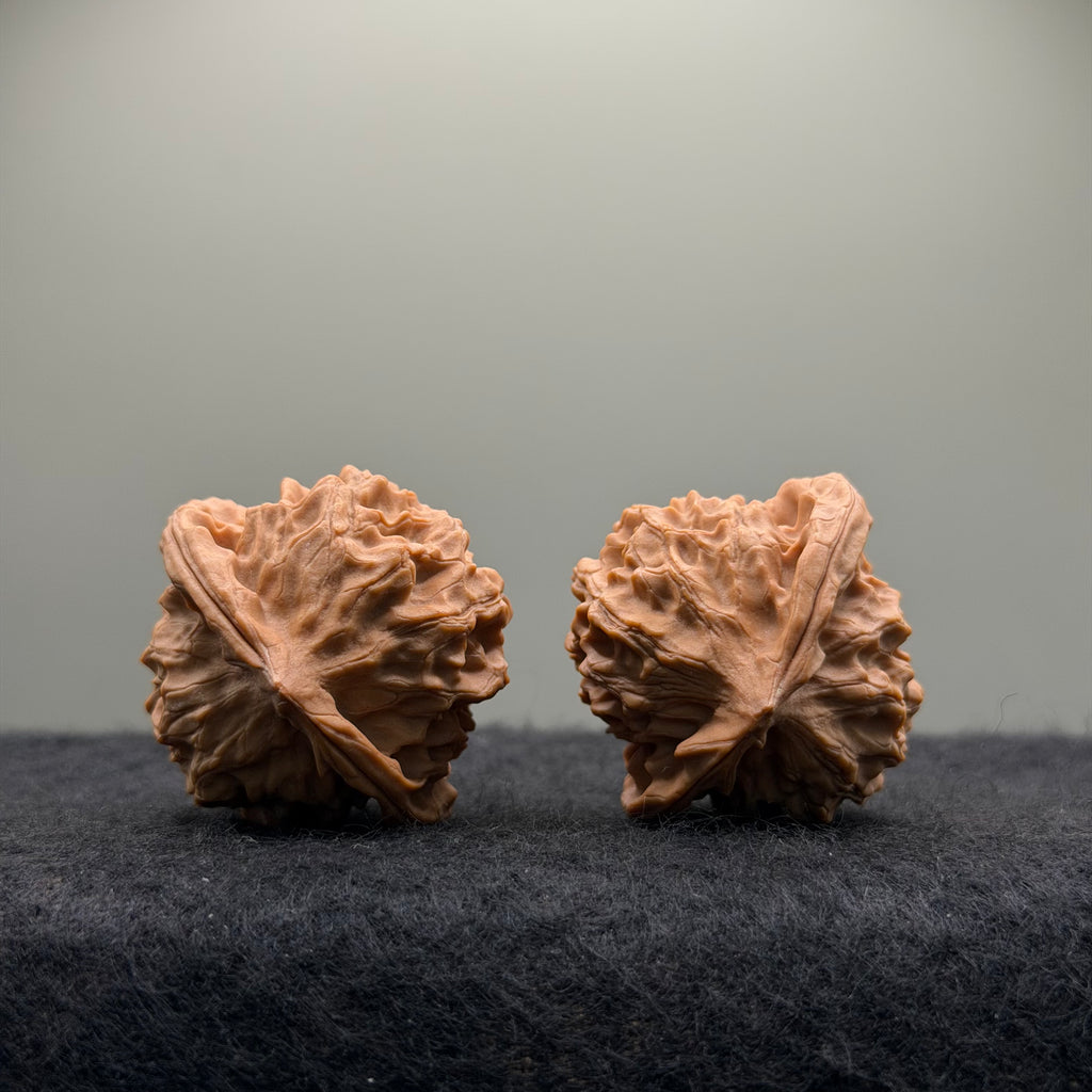 Wild · Mandala Wenwan Walnut  · 38mm · Natural · Collector Ritual