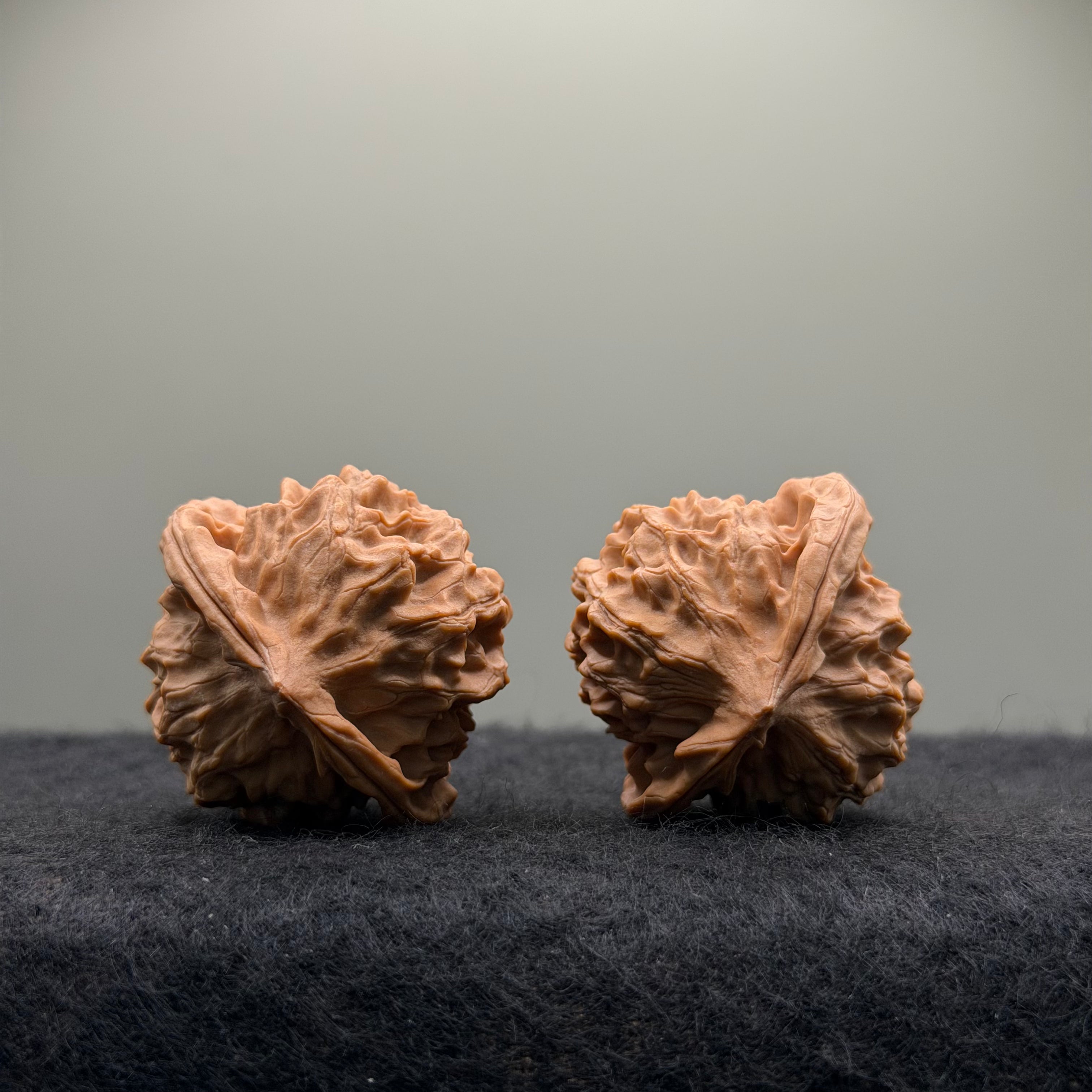 Wild · Mandala Wenwan Walnut  · 38mm · Natural · Collector Ritual