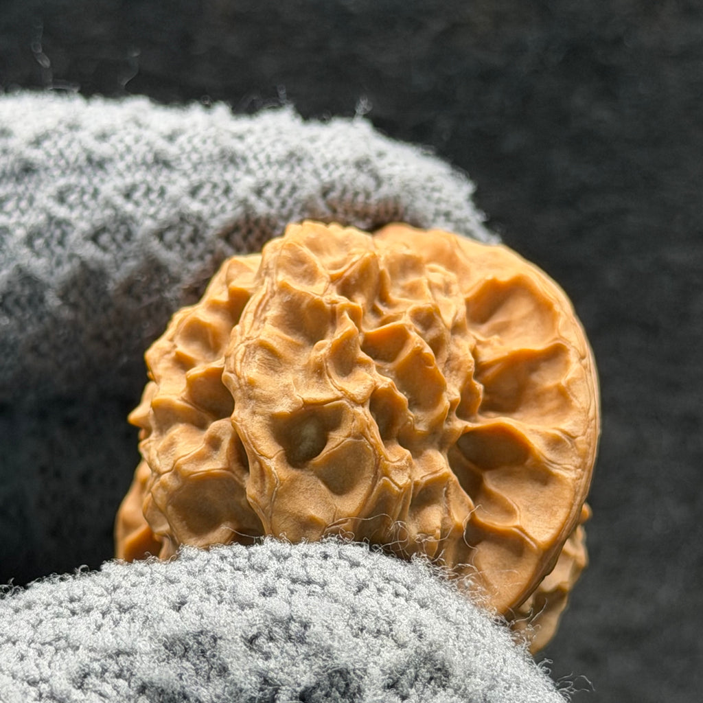 Wild · Mandala Wenwan Walnut  · 38mm · Natural · Collector Ritual