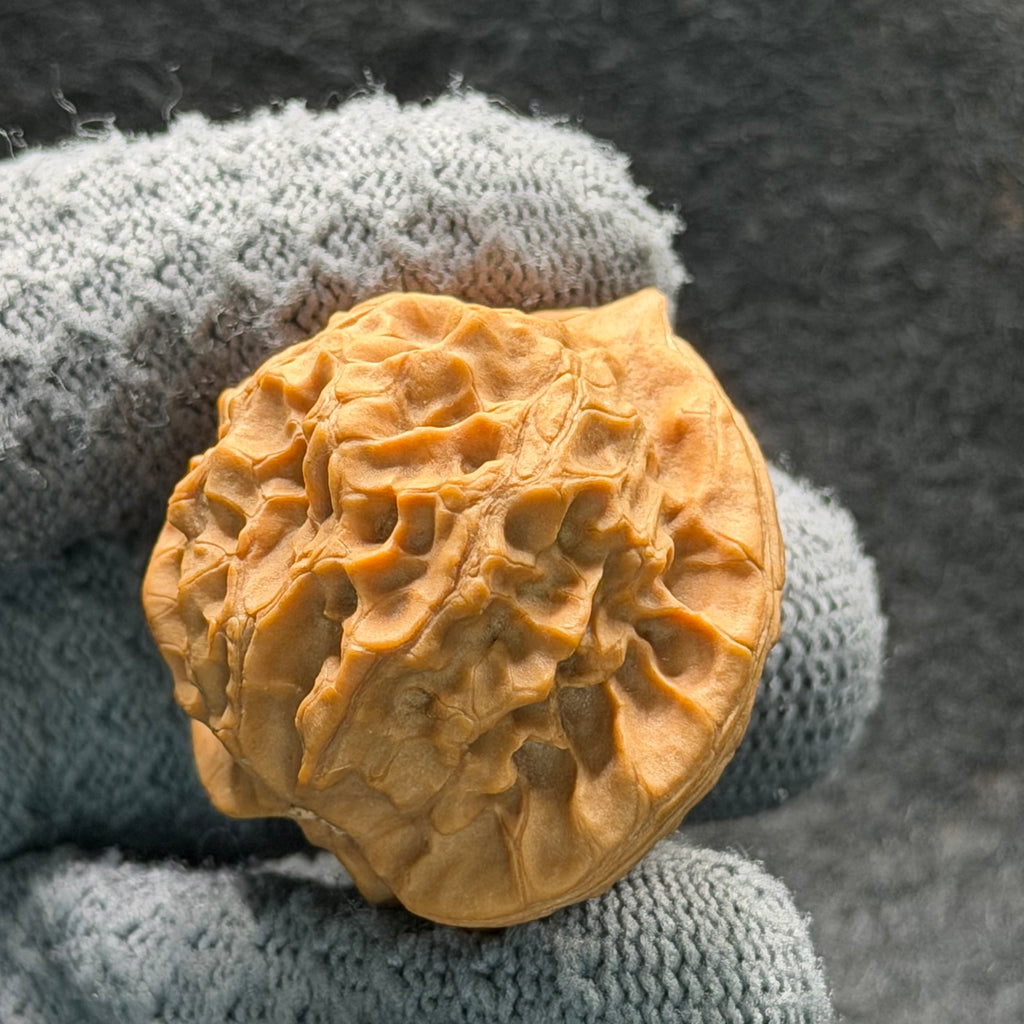 Wild · Mandala Wenwan Walnut  · 38mm · Natural · Collector Ritual
