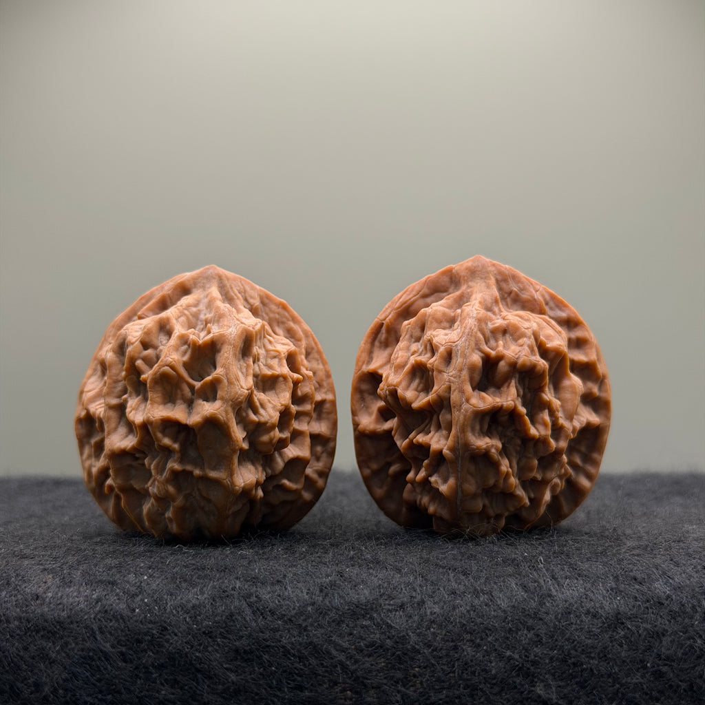 Phoenix Terrace Wenwan Walnut · 39mm · Natural · Premium Ritual