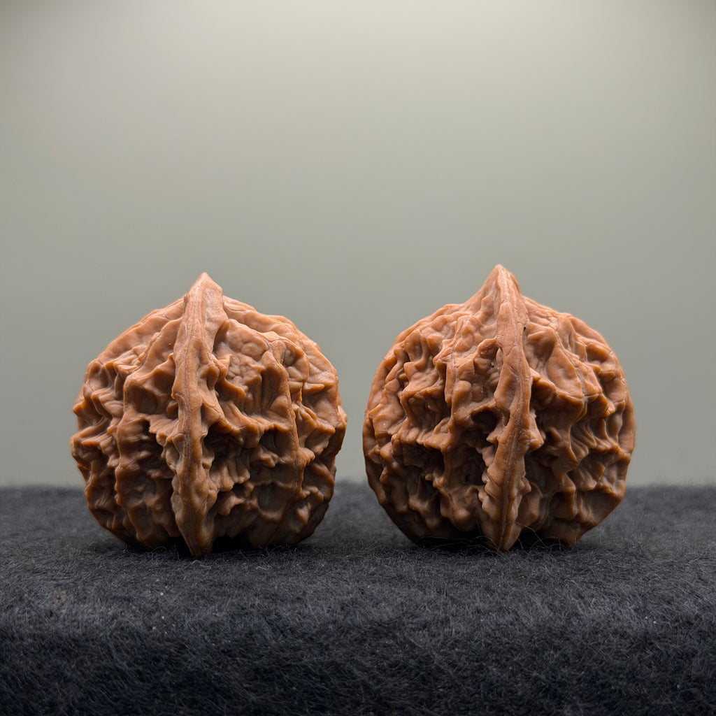 Phoenix Terrace Wenwan Walnut · 39mm · Natural · Premium Ritual