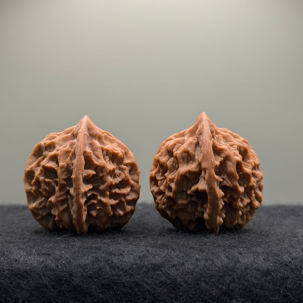 Phoenix Terrace Wenwan Walnut · 39mm · Natural · Premium Ritual
