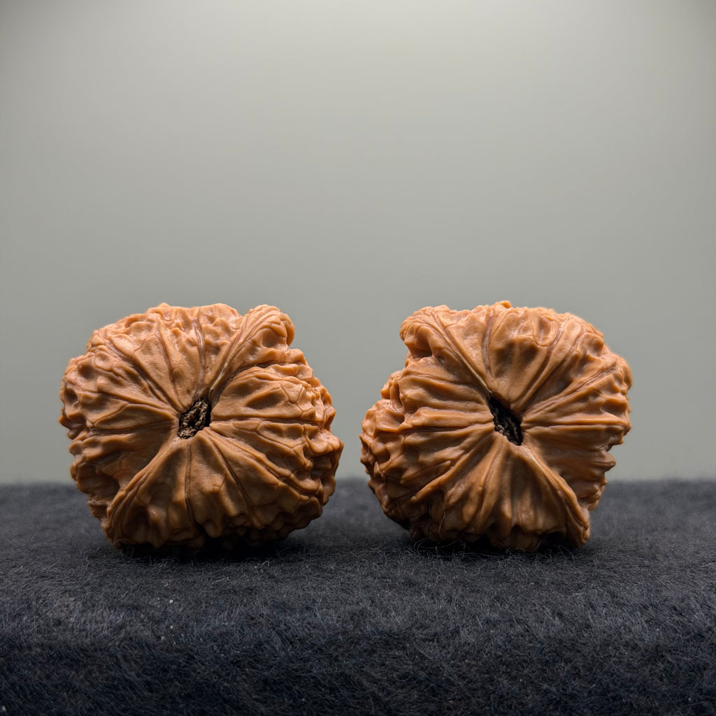 Grand Reunion Wenwan Walnut · 41mm · Premium Ritual