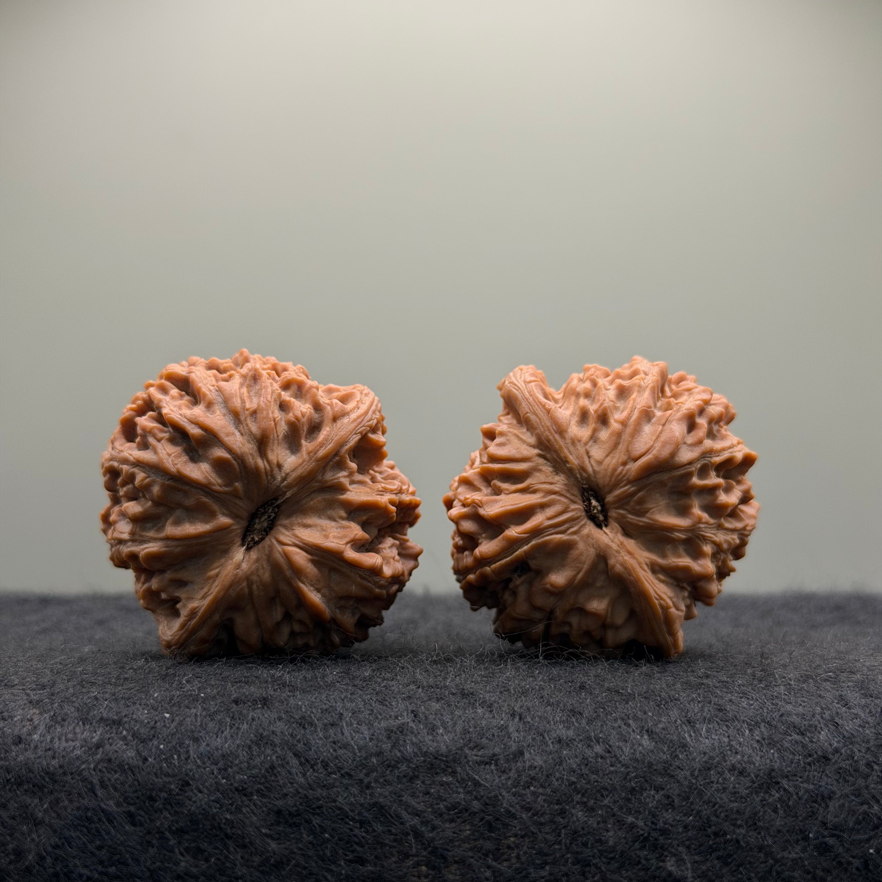 Eve Stone Wenwan Walnut  · 38mm · Natural · Premium Ritual