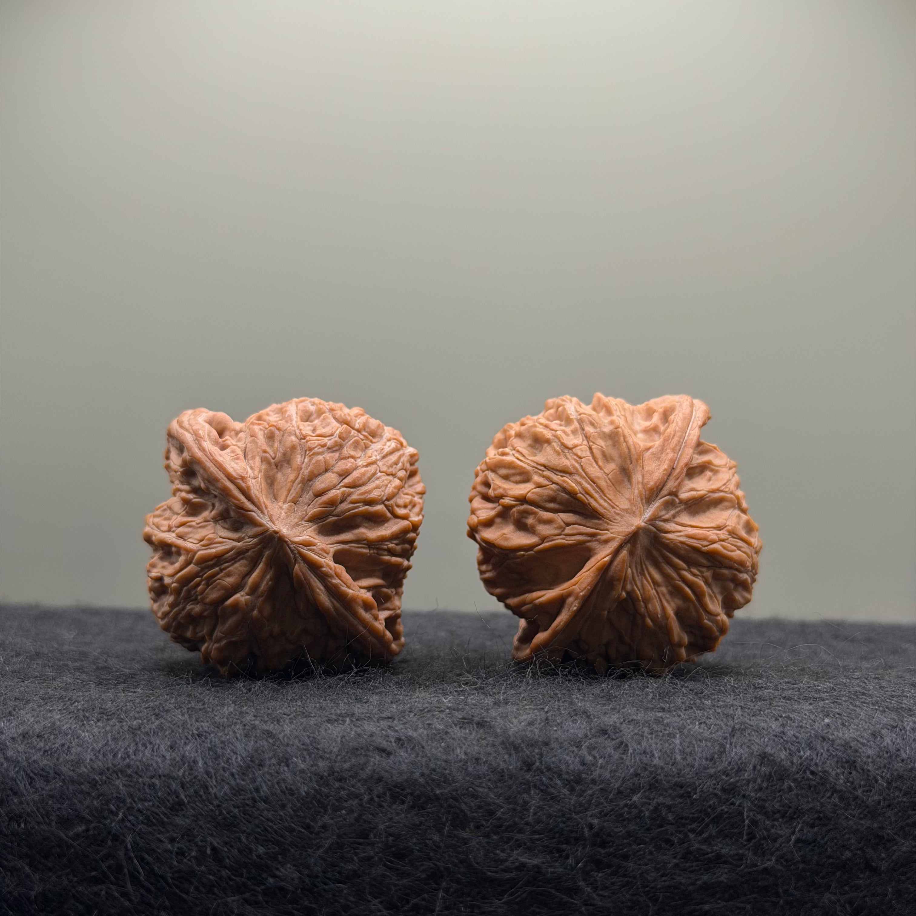 Millstone Wenwan Walnut · 39mm · Natural ·Select Ritual