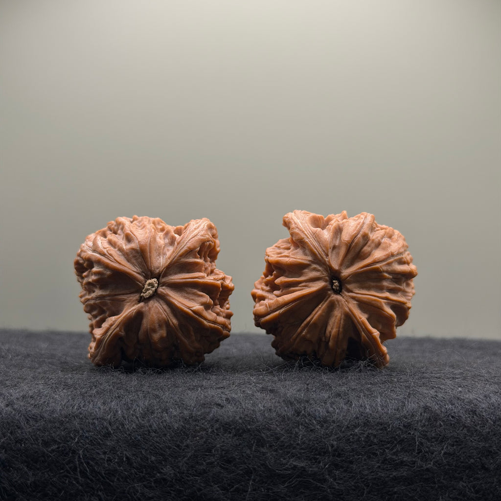 Millstone Wenwan Walnut · 39mm · Natural ·Select Ritual