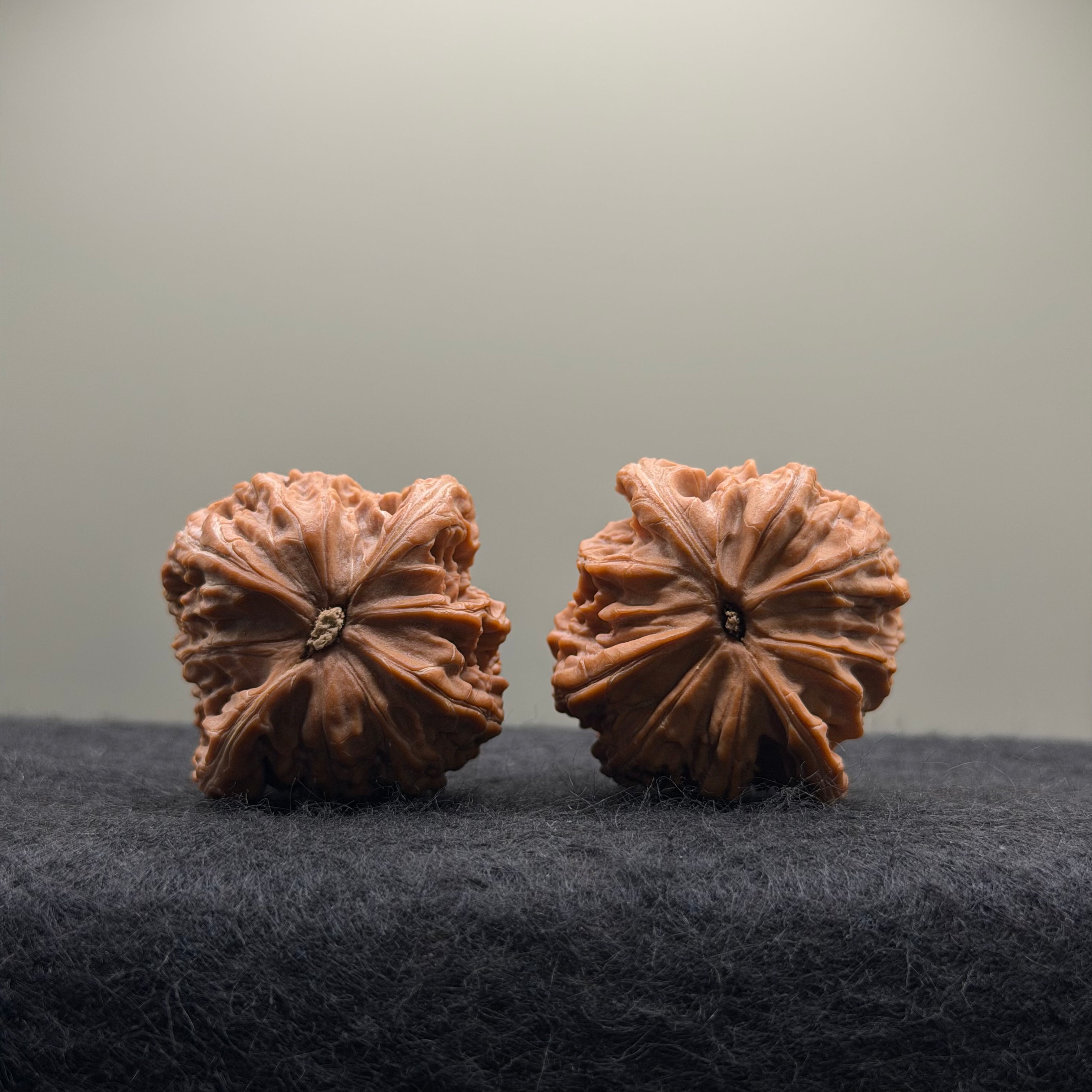 Millstone Wenwan Walnut · 39mm · Natural ·Select Ritual