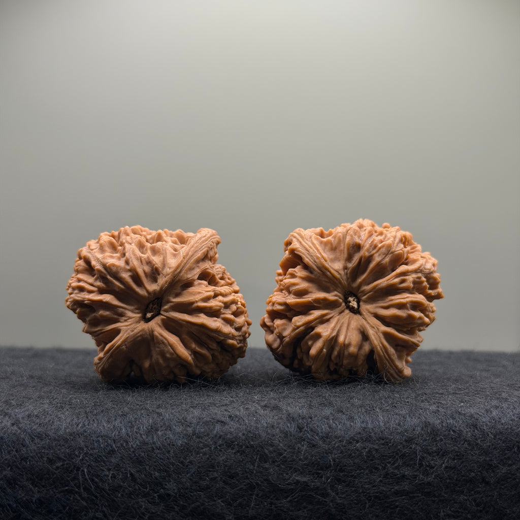 Nanjiang Stone Wenwan Walnut · 40mm · Natural · Select Ritual