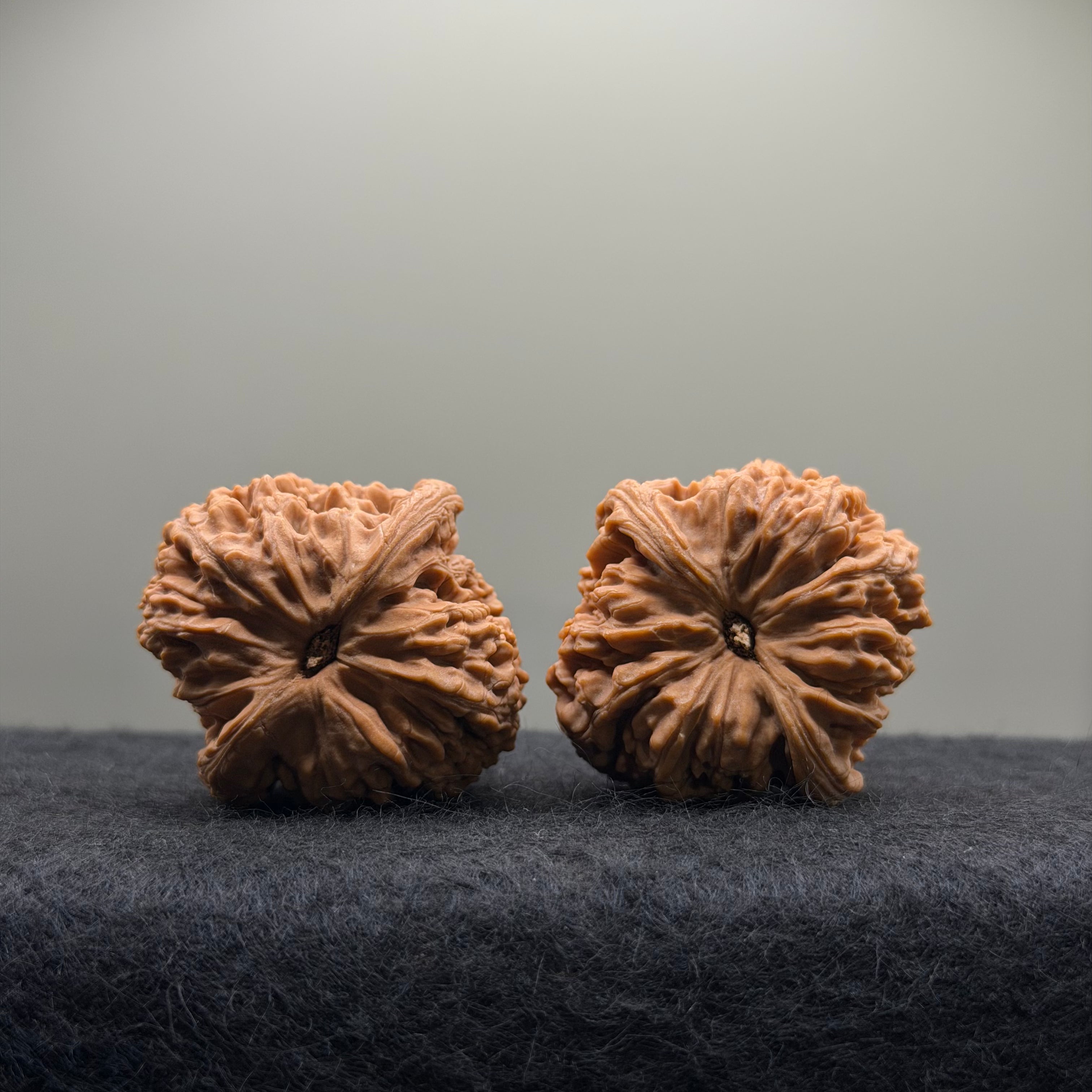Nanjiang Stone Wenwan Walnut · 40mm · Natural · Select Ritual