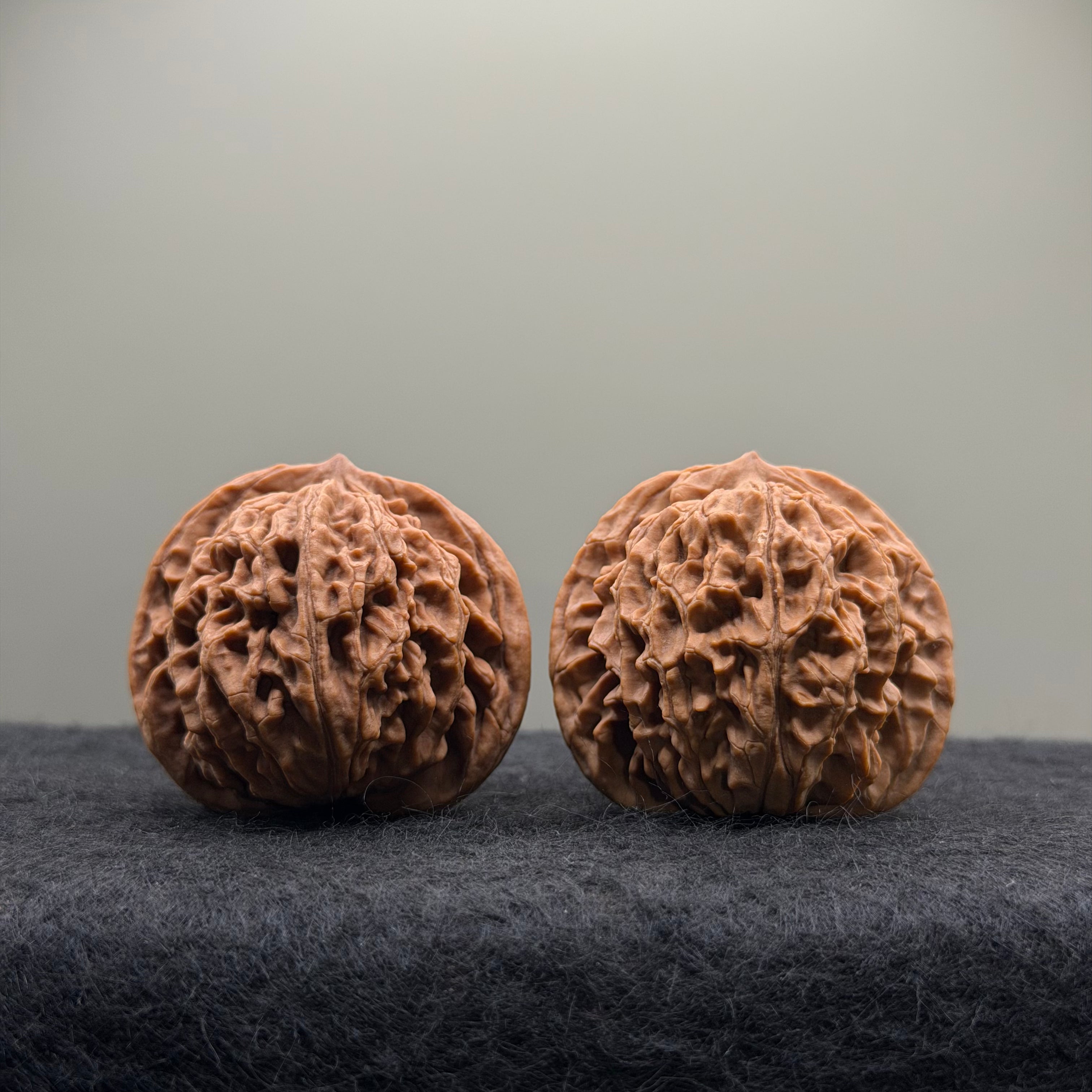 Coiling Dragon Wenwan Walnut · 41mm · Natural · Select Ritual