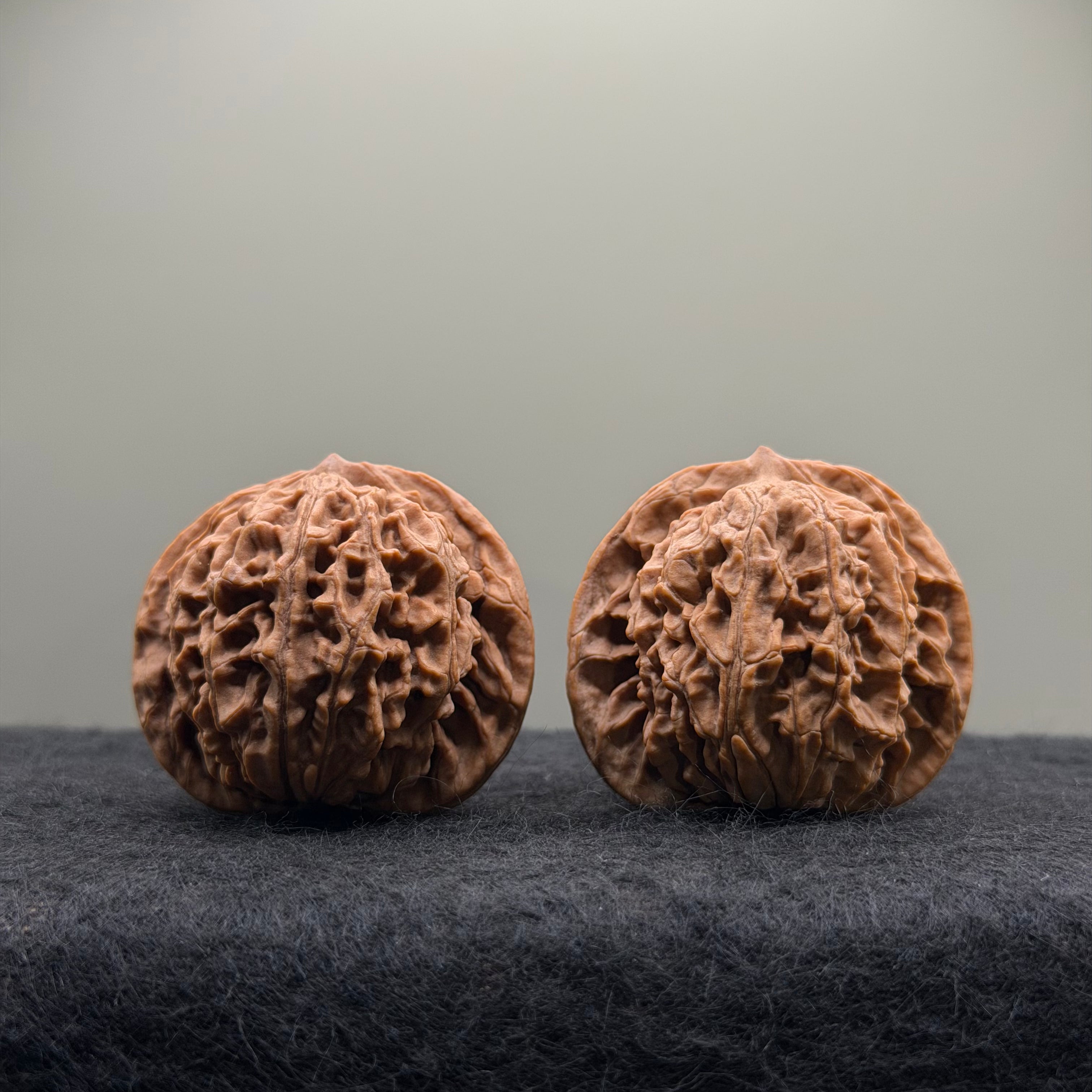 Coiling Dragon Wenwan Walnut · 41mm · Natural · Select Ritual