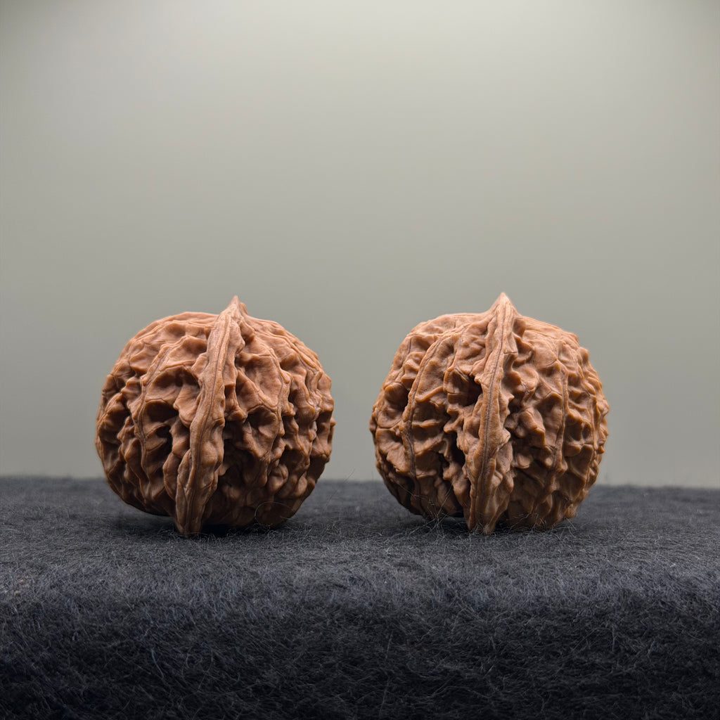 Coiling Dragon Wenwan Walnut · 41mm · Natural · Select Ritual