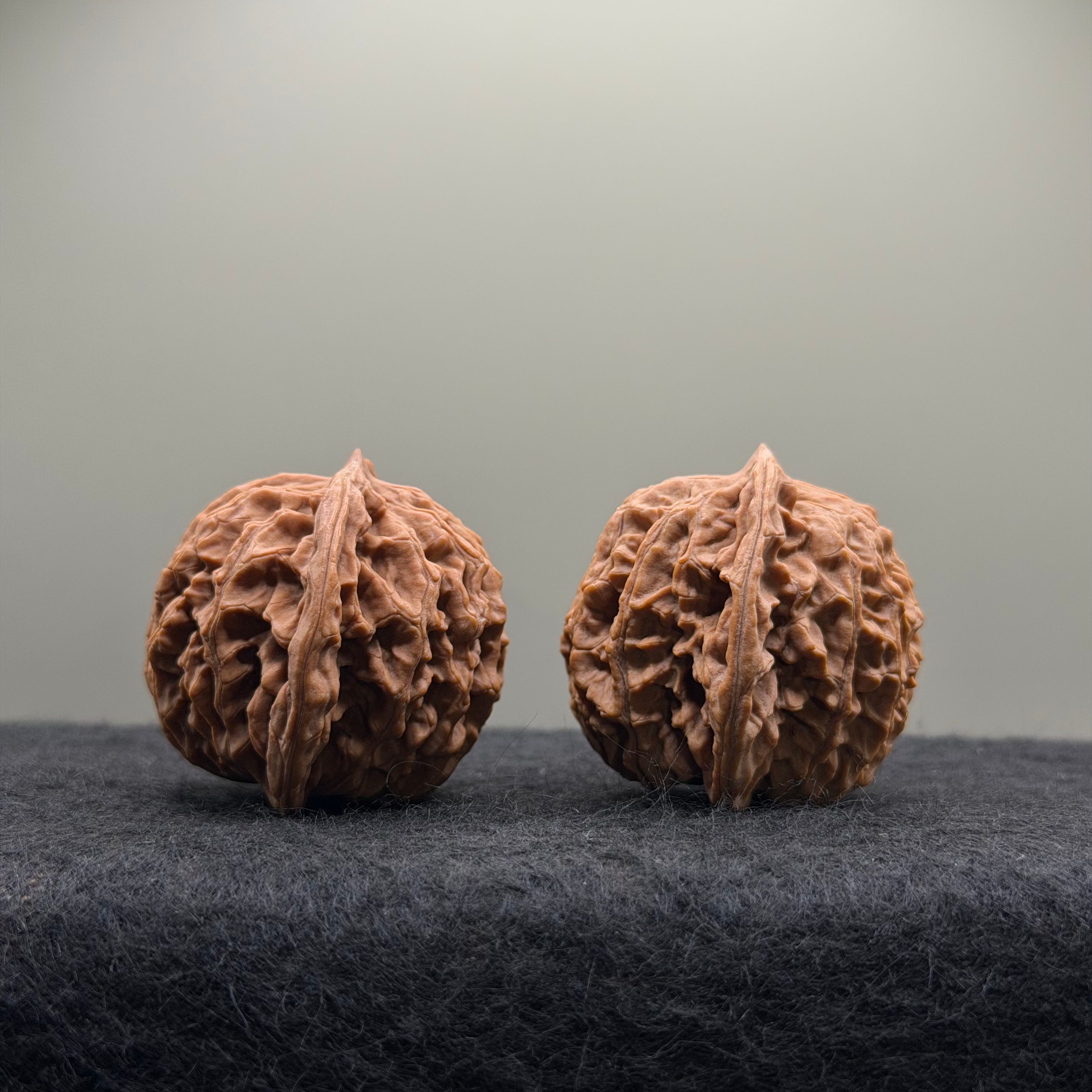 Coiling Dragon Wenwan Walnut · 41mm · Natural · Select Ritual
