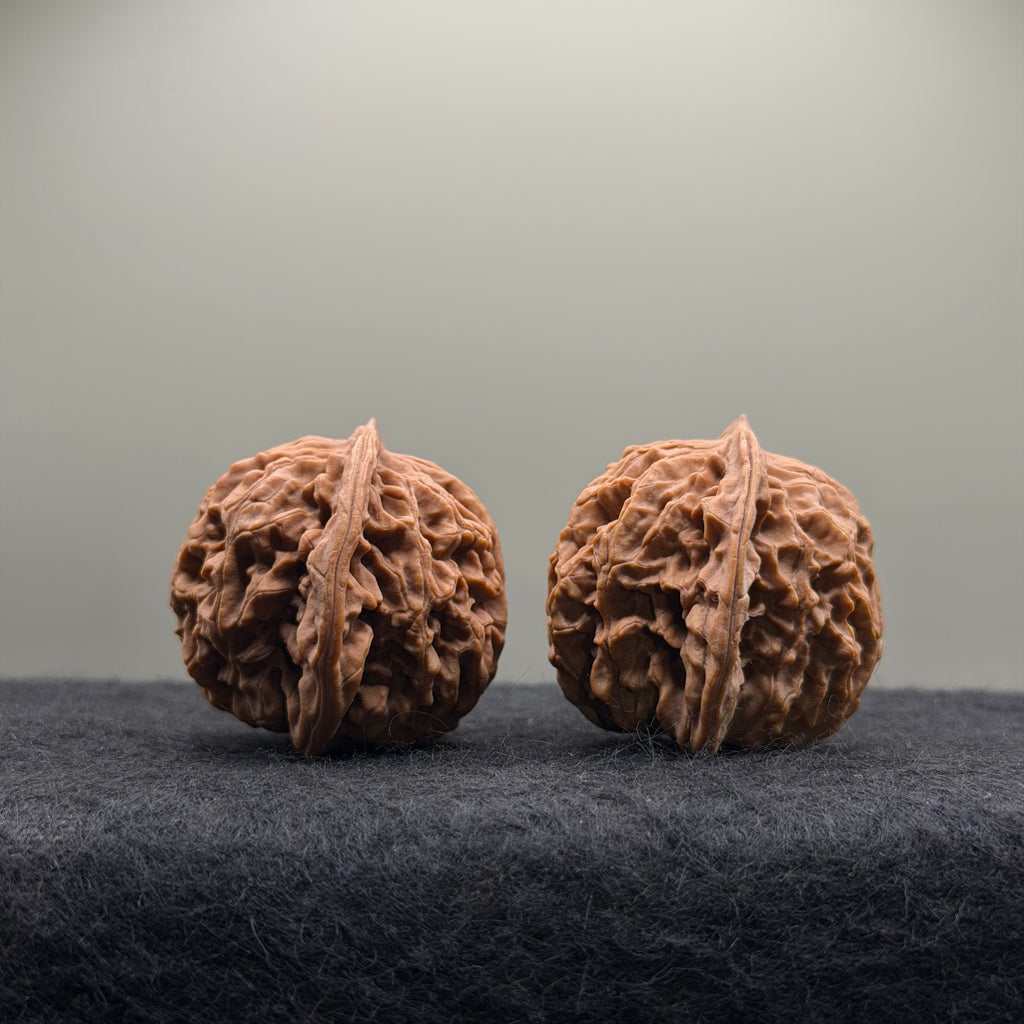 Coiling Dragon Wenwan Walnut · 41mm · Natural · Select Ritual