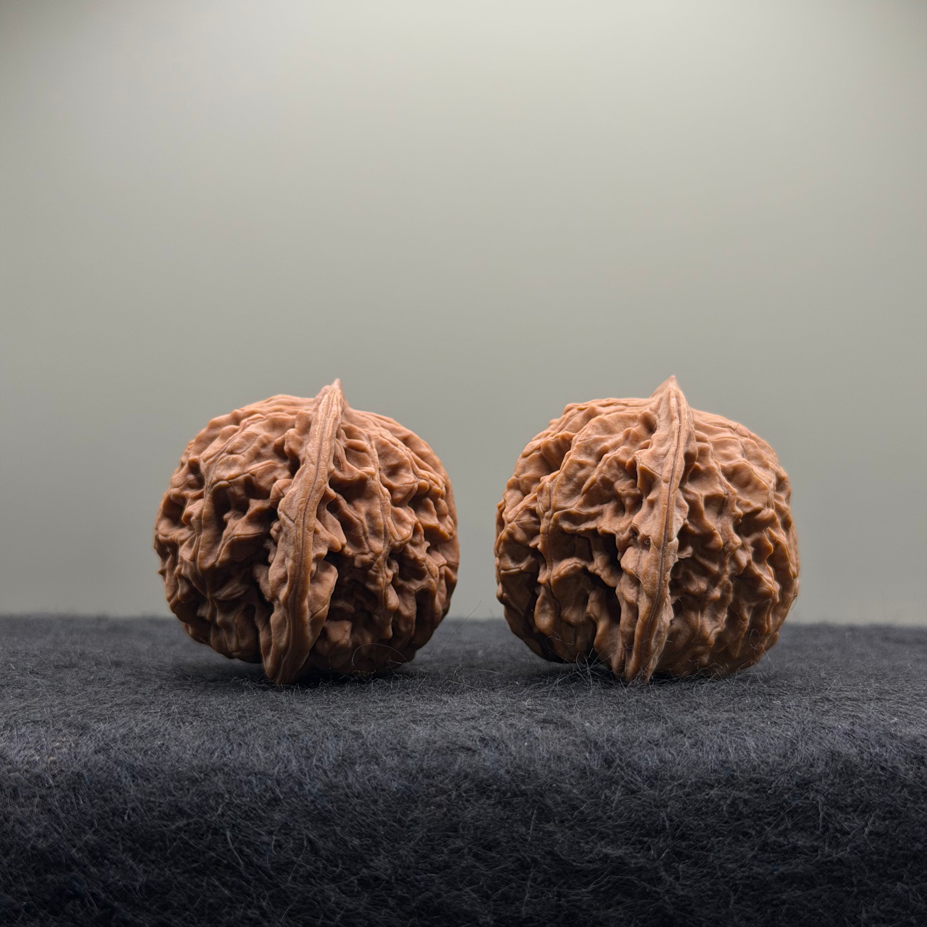 Coiling Dragon Wenwan Walnut · 41mm · Natural · Select Ritual