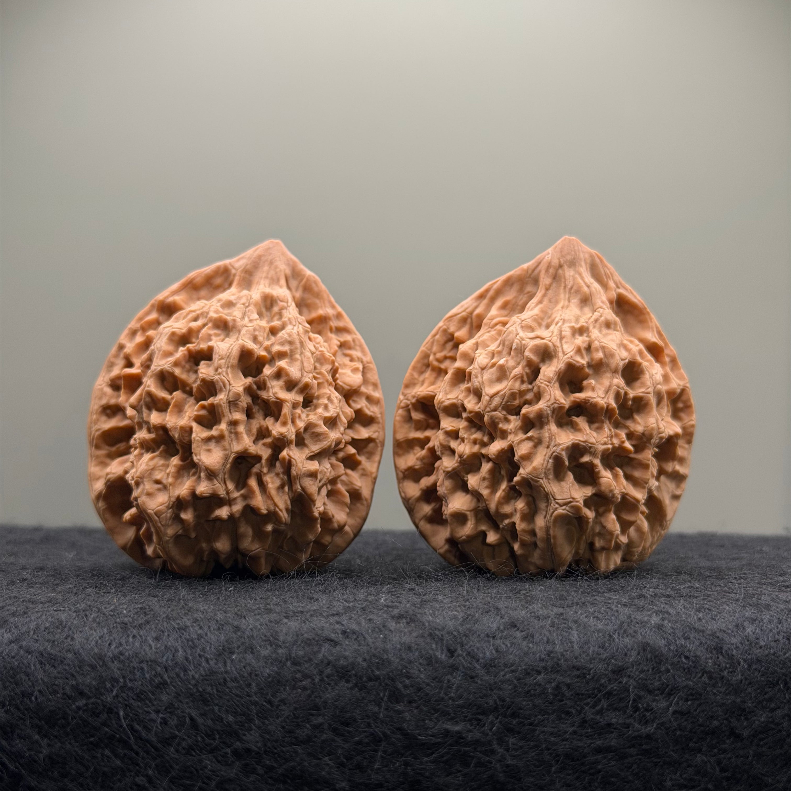 Official Hat Wenwan Walnut  · 44mm · Natural · Entry Ritual