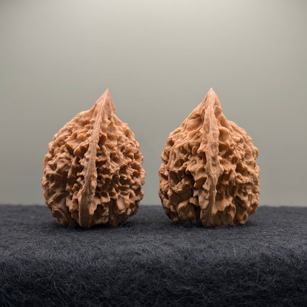 Official Hat Wenwan Walnut  · 44mm · Natural · Entry Ritual