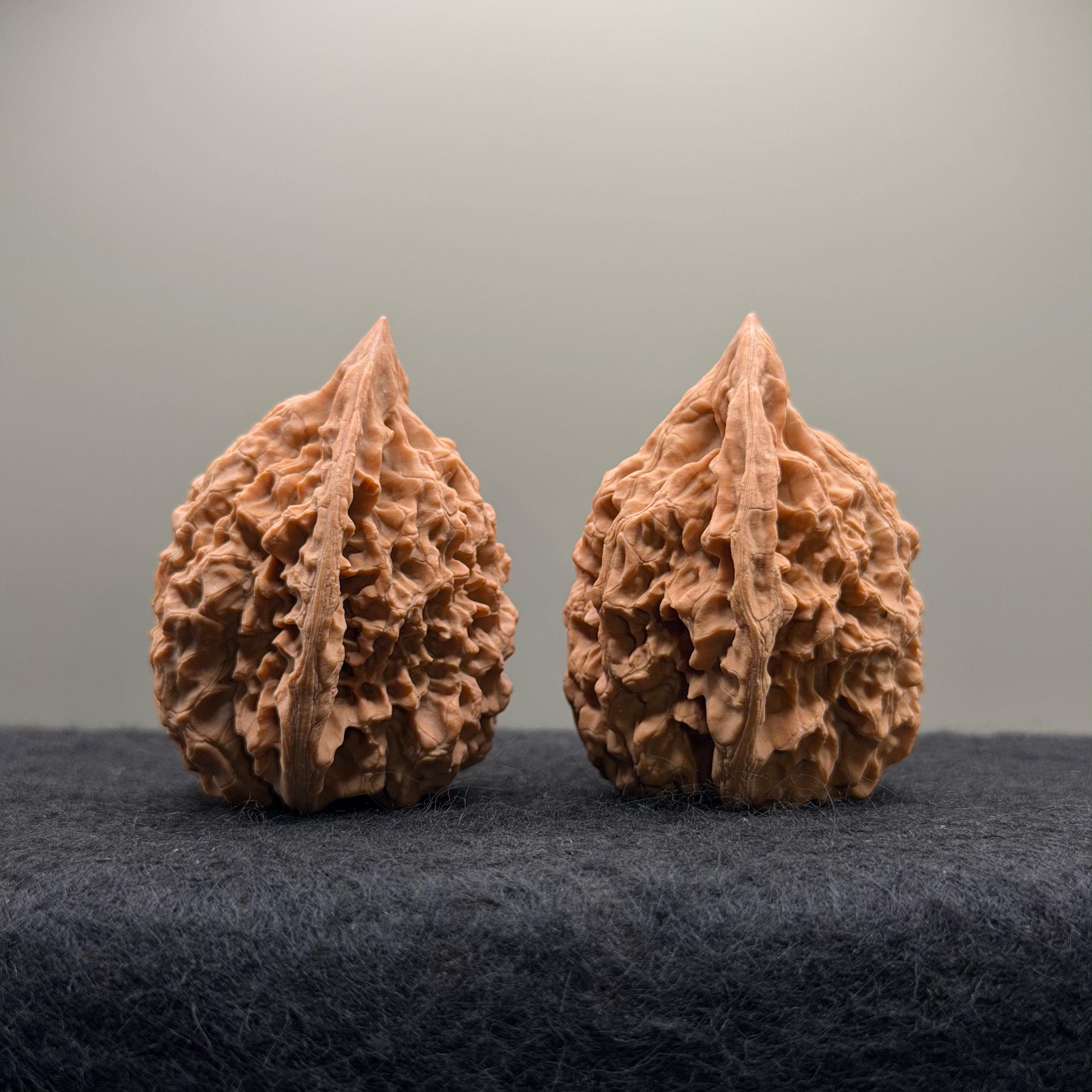 Official Hat Wenwan Walnut  · 44mm · Natural · Entry Ritual