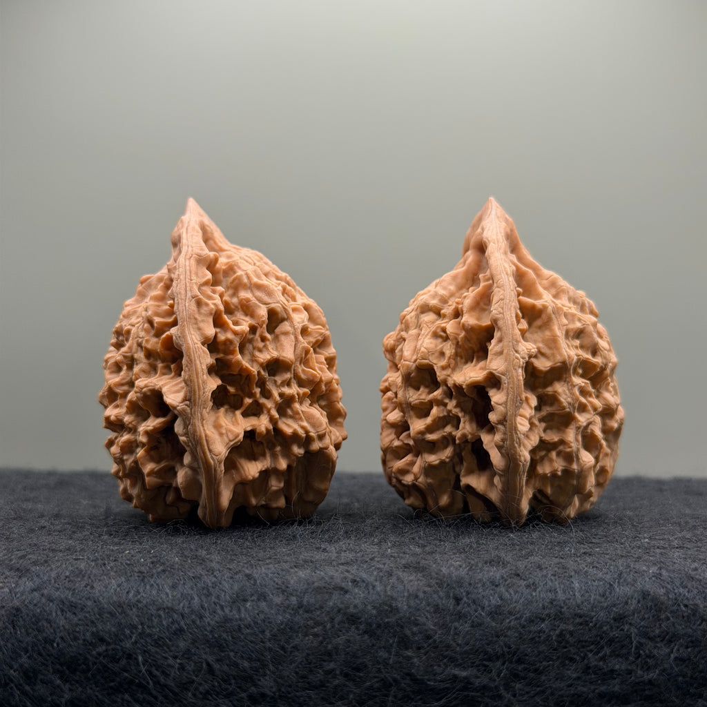 Official Hat Wenwan Walnut  · 44mm · Natural · Entry Ritual