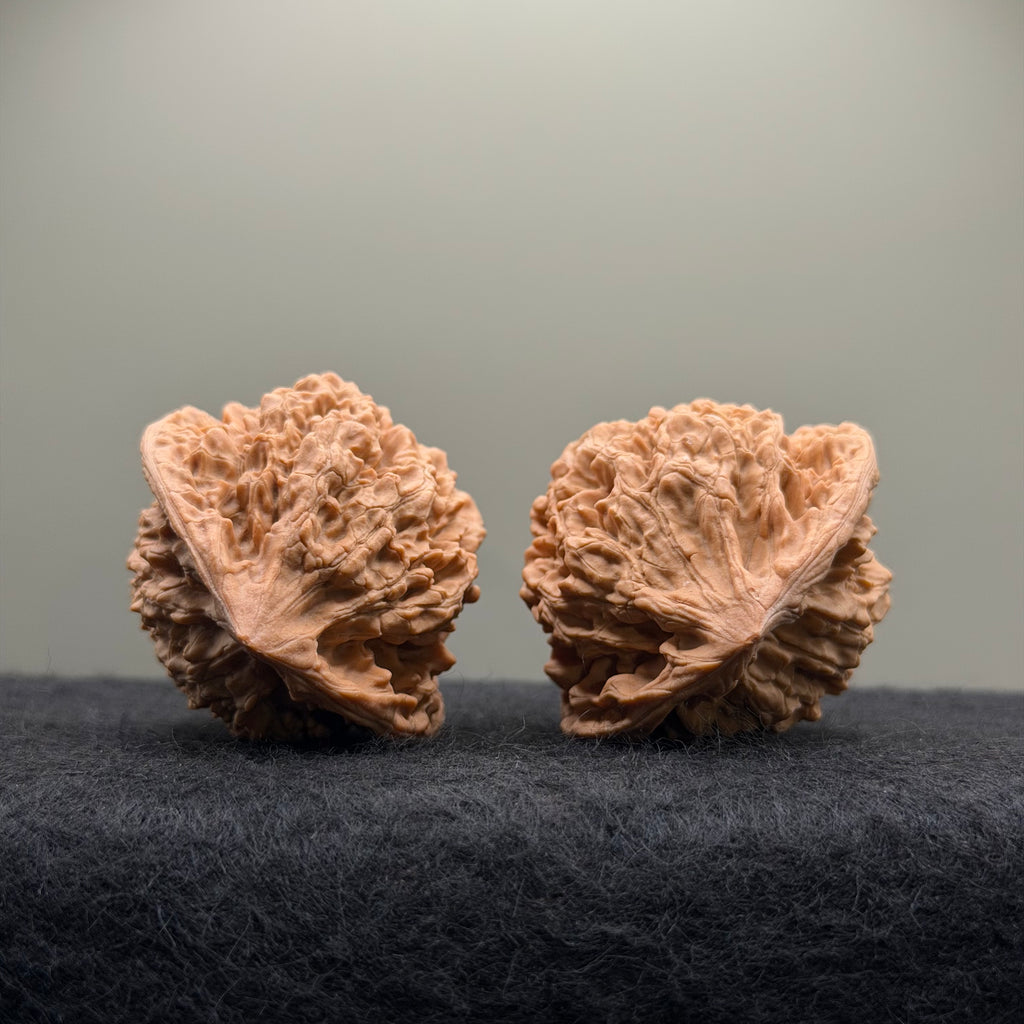 Official Hat Wenwan Walnut  · 44mm · Natural · Entry Ritual