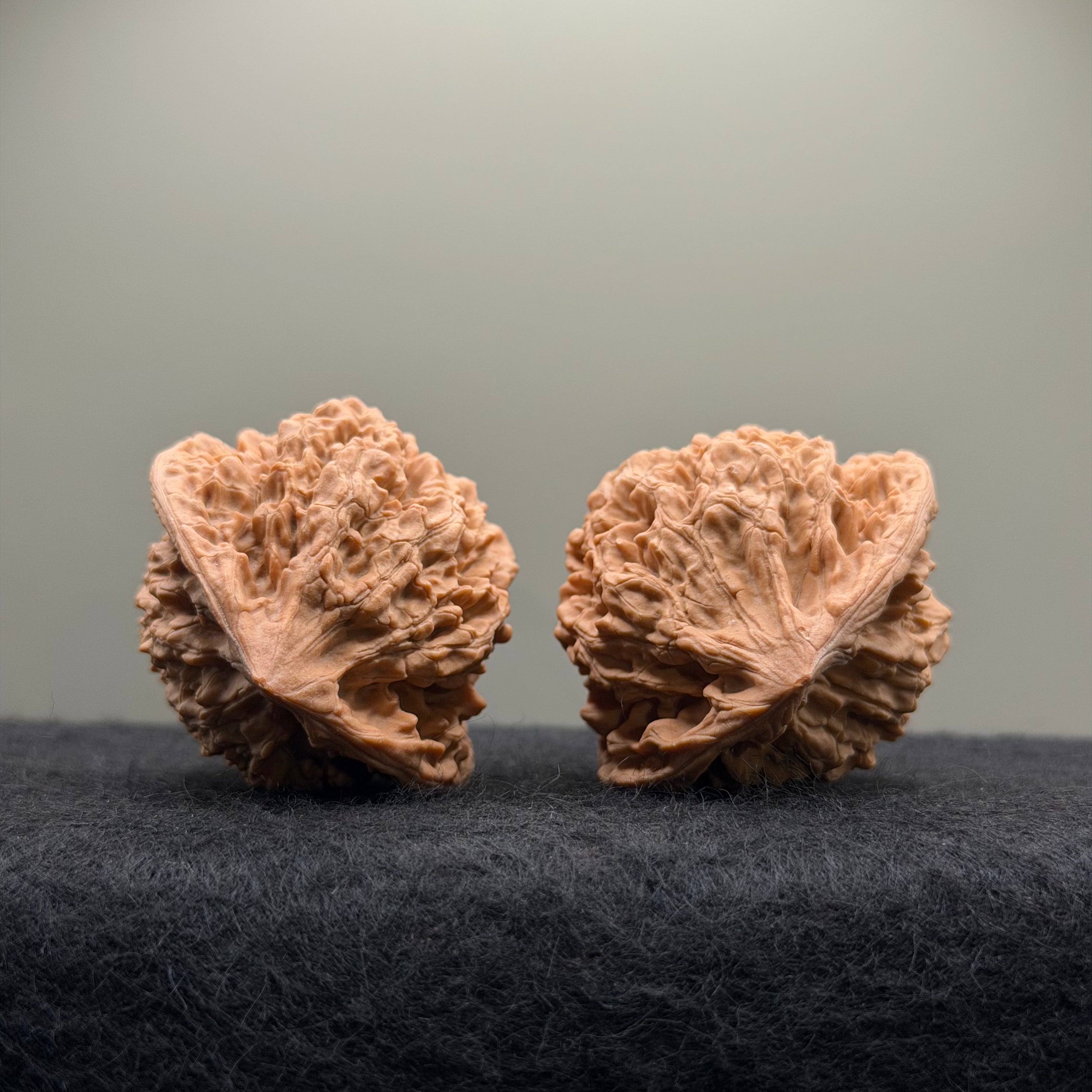 Official Hat Wenwan Walnut  · 44mm · Natural · Entry Ritual