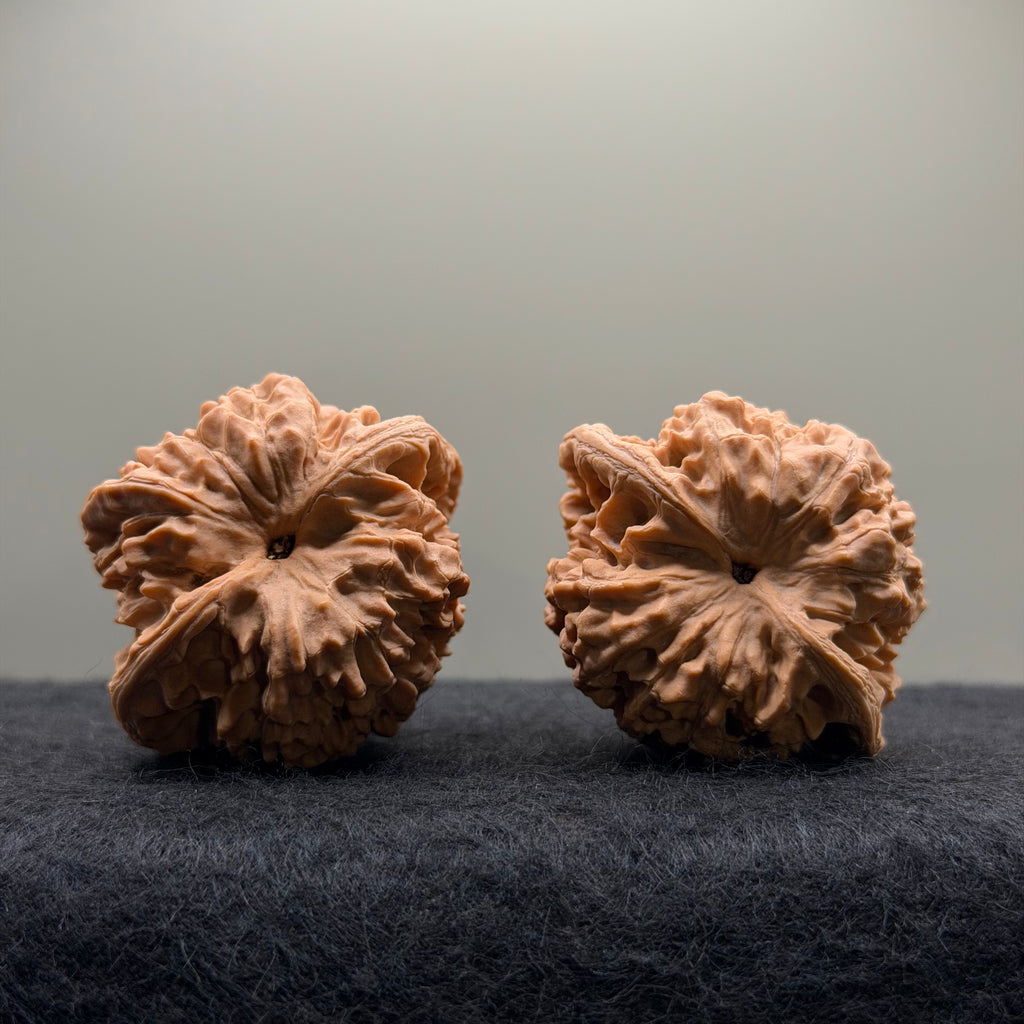 Official Hat Wenwan Walnut  · 44mm · Natural · Entry Ritual