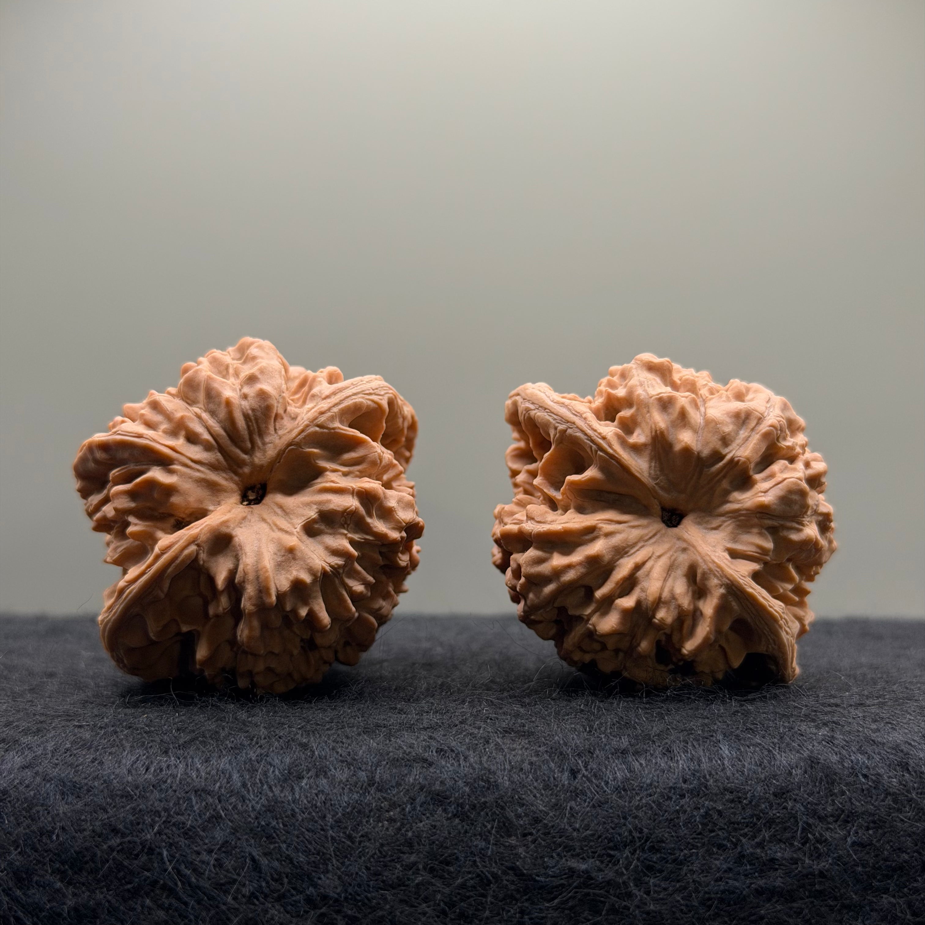 Official Hat Wenwan Walnut  · 44mm · Natural · Entry Ritual
