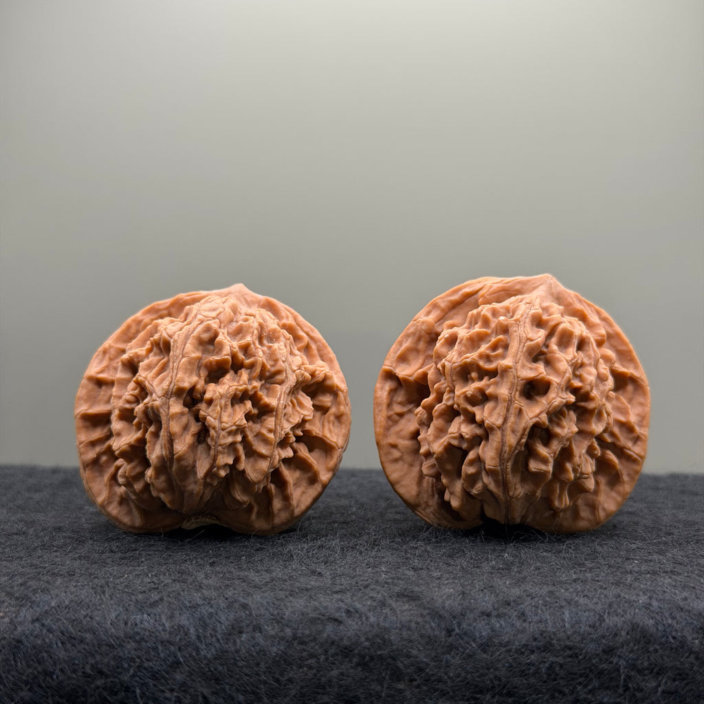 Coiling Dragon Wenwan Walnut  · 42mm · Natural · Entry Ritual