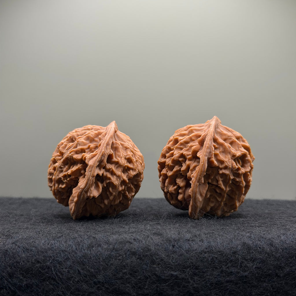 Coiling Dragon Wenwan Walnut  · 42mm · Natural · Entry Ritual