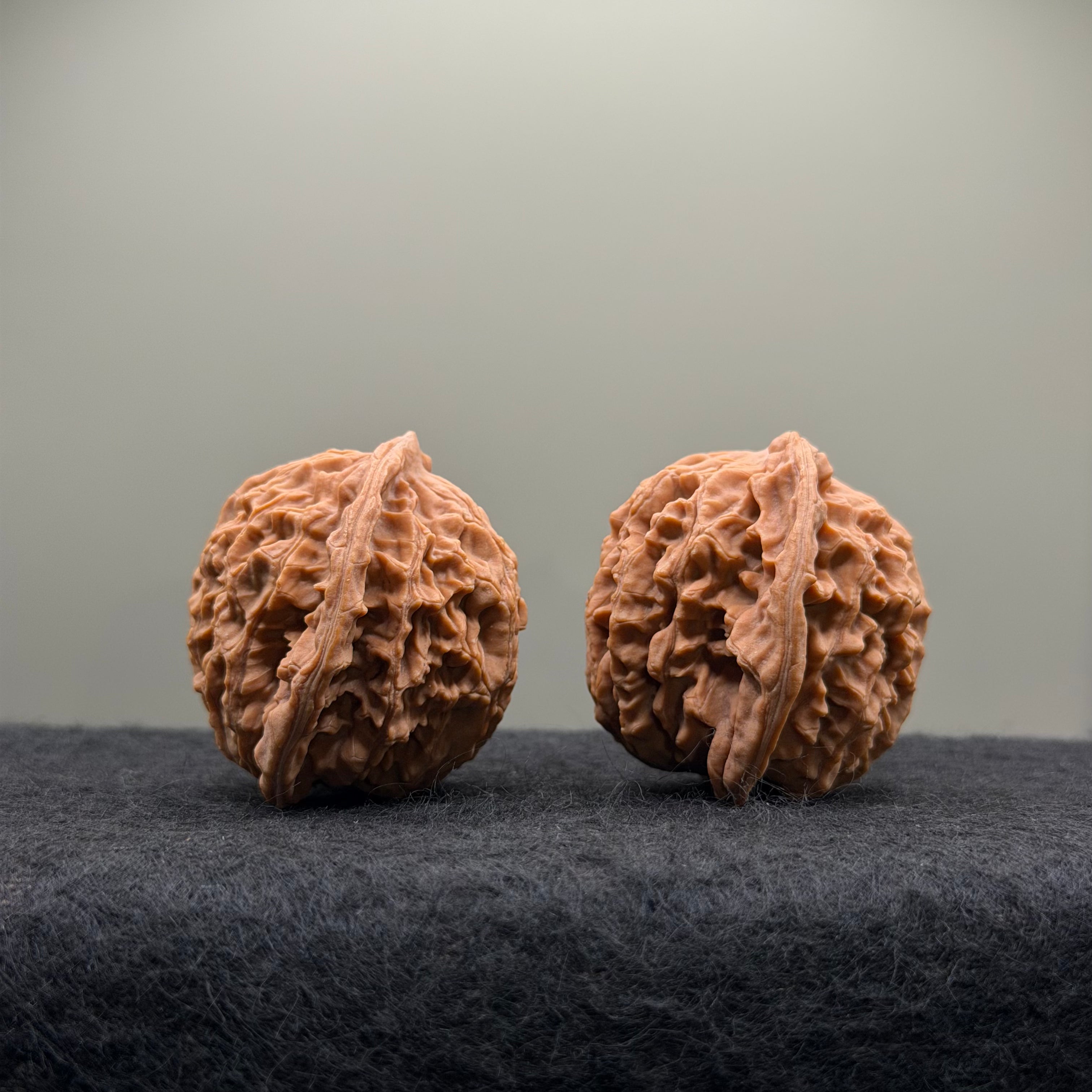 Coiling Dragon Wenwan Walnut  · 42mm · Natural · Entry Ritual