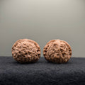 Pumpkin Wenwan Walnut  · 39mm · Natural · Entry Ritual
