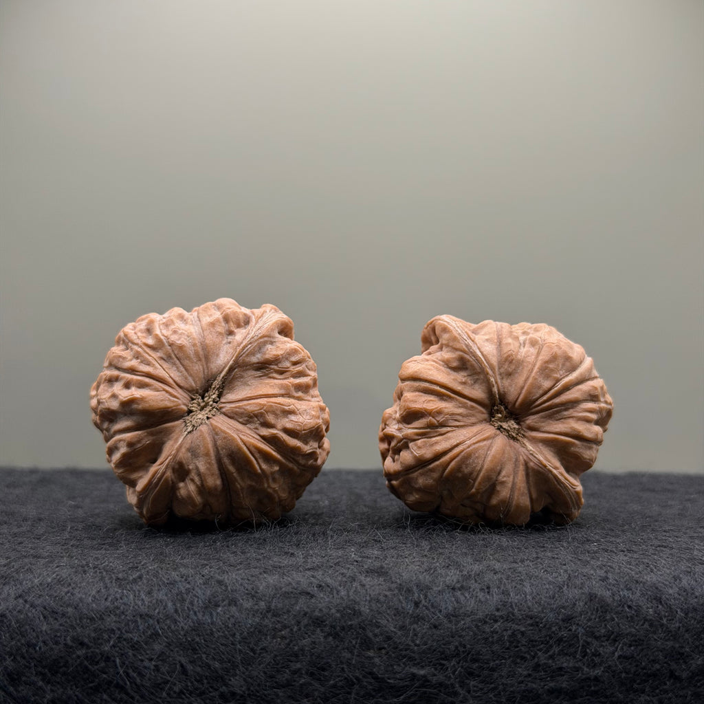 Pumpkin Wenwan Walnut  · 39mm · Natural · Entry Ritual