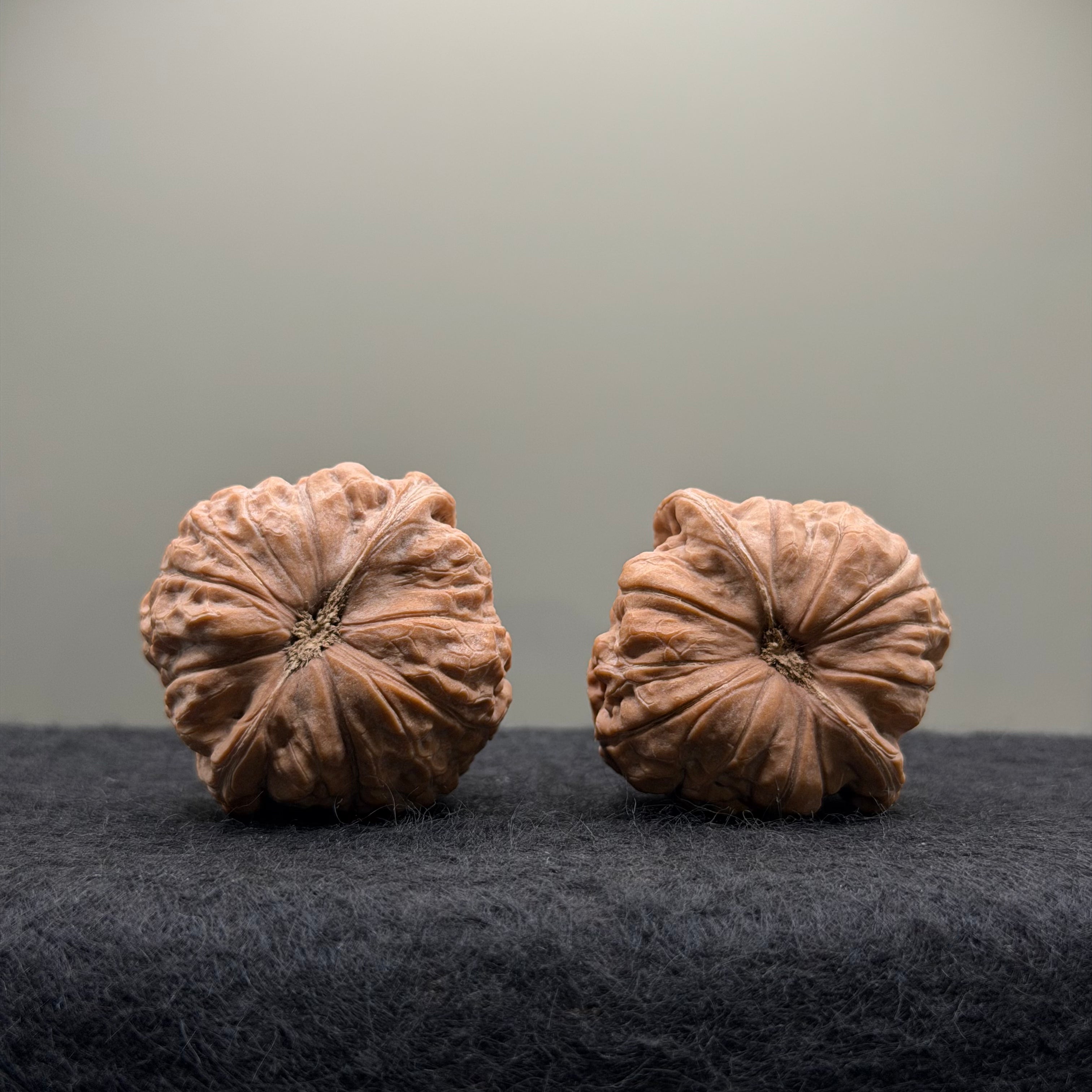 Pumpkin Wenwan Walnut  · 39mm · Natural · Entry Ritual