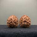 Official Hat Wenwan Walnut  · 34mm · Natural · Entry Ritual