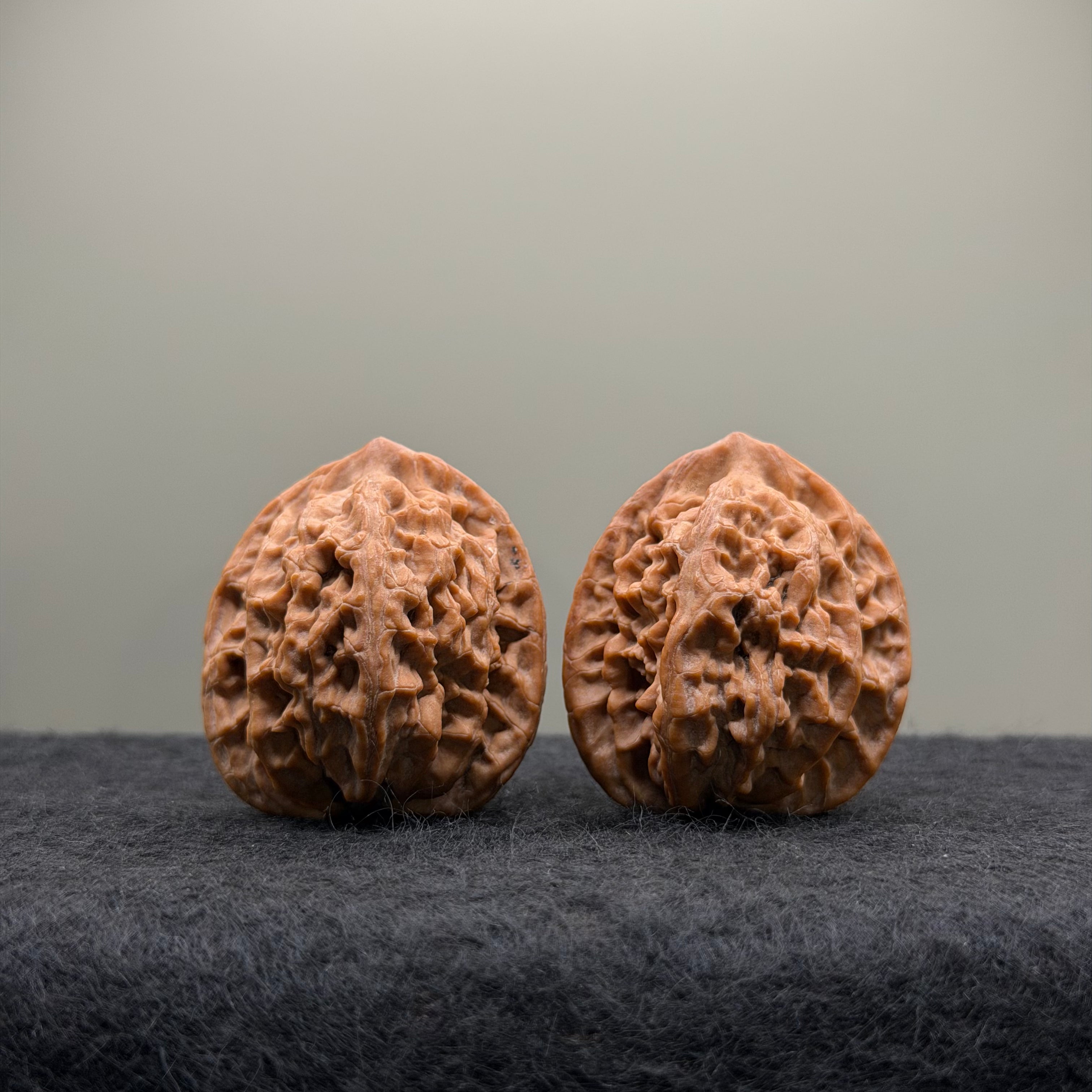 Official Hat Wenwan Walnut  · 34mm · Natural · Entry Ritual