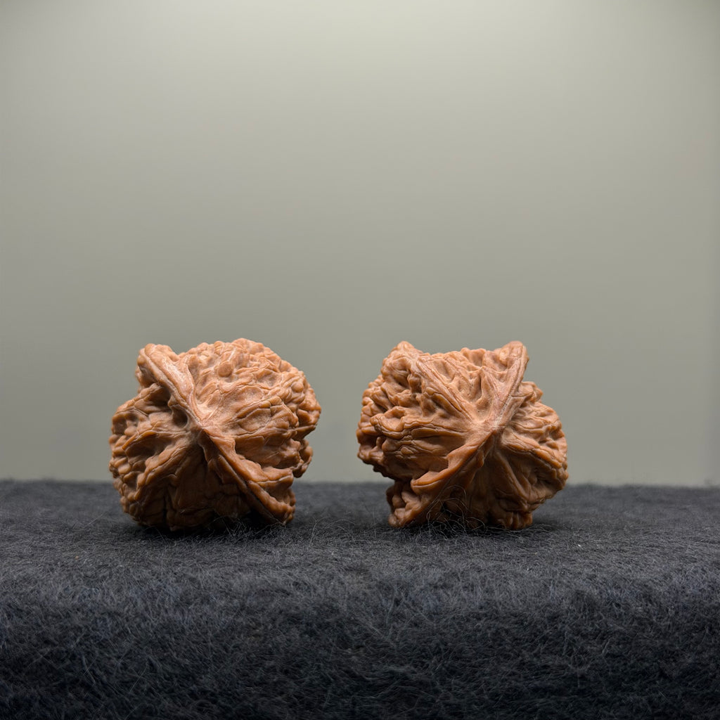 Official Hat Wenwan Walnut  · 34mm · Natural · Entry Ritual