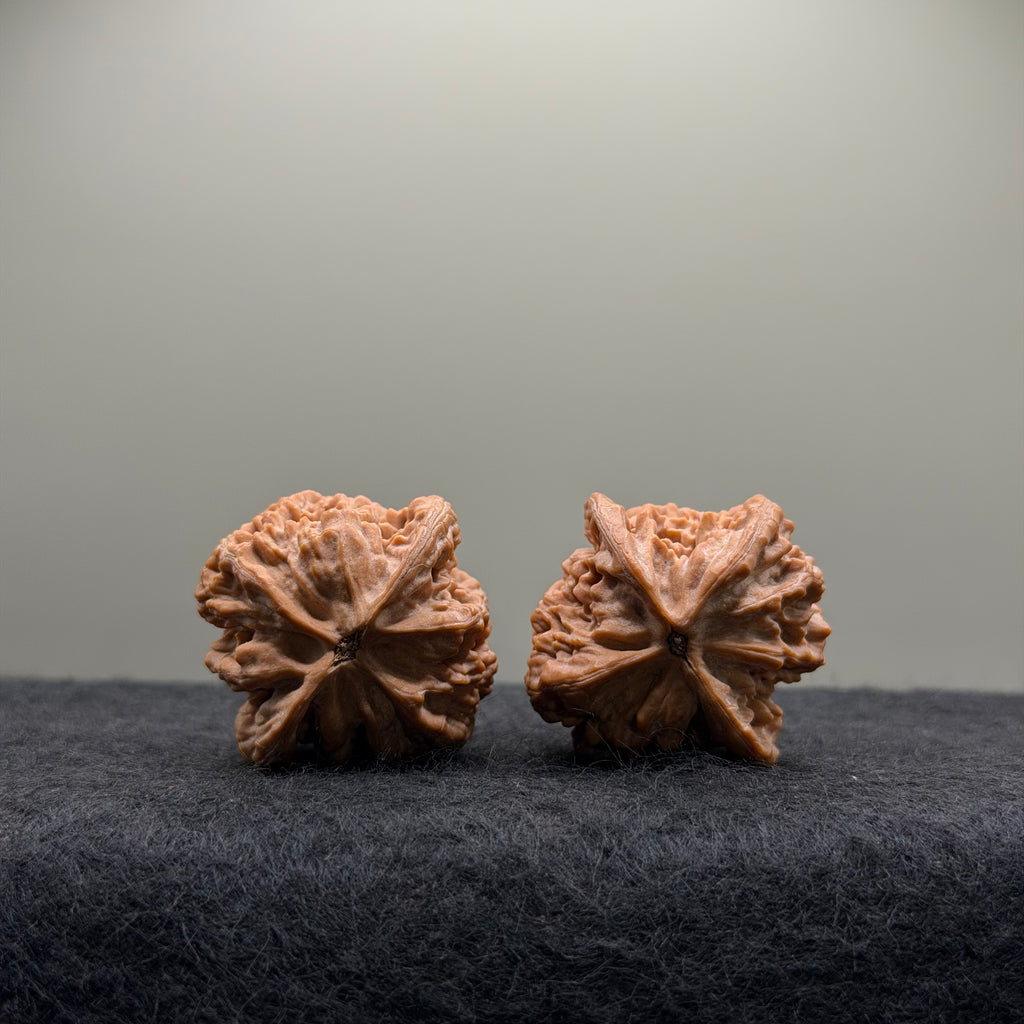 Official Hat Wenwan Walnut  · 34mm · Natural · Entry Ritual