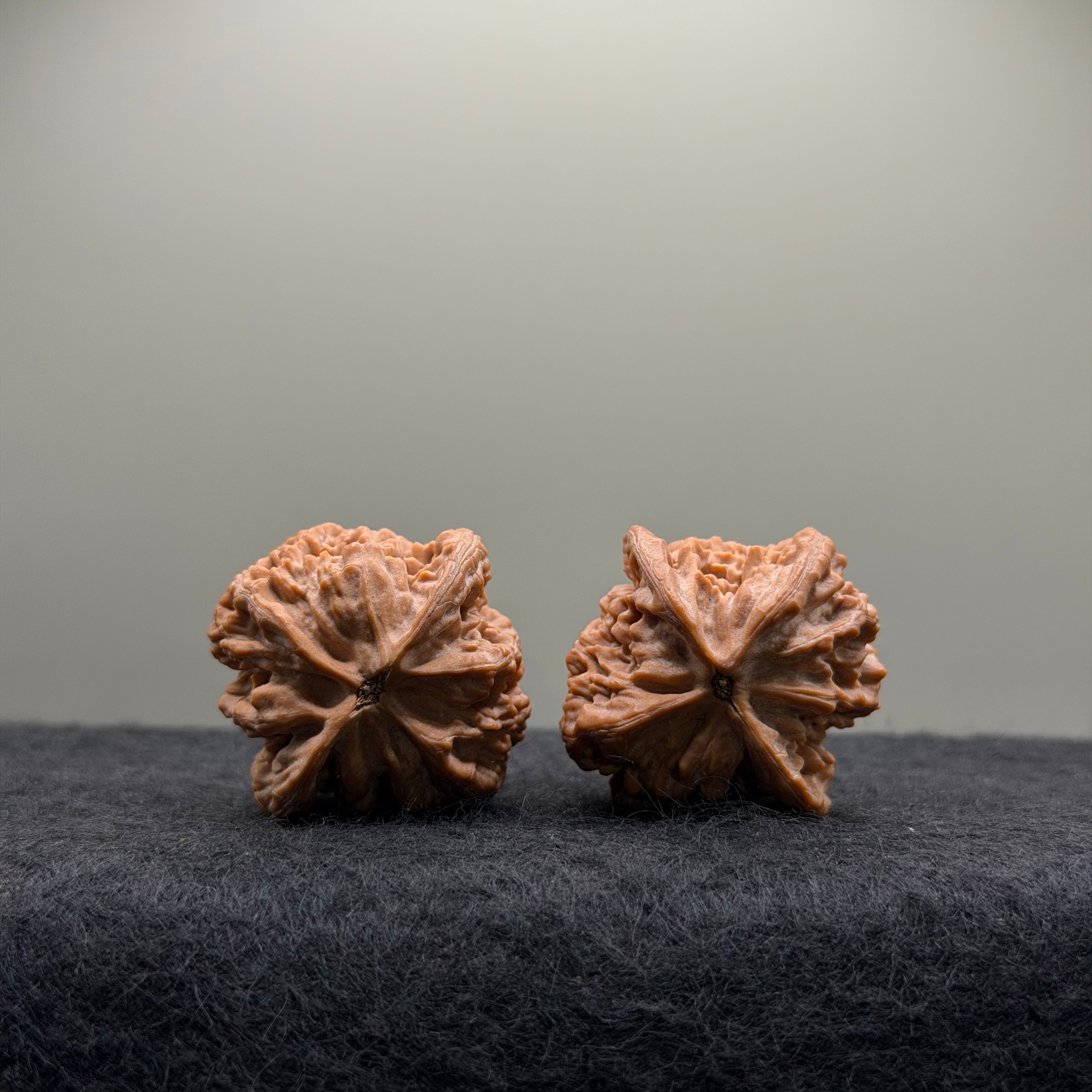 Official Hat Wenwan Walnut  · 34mm · Natural · Entry Ritual