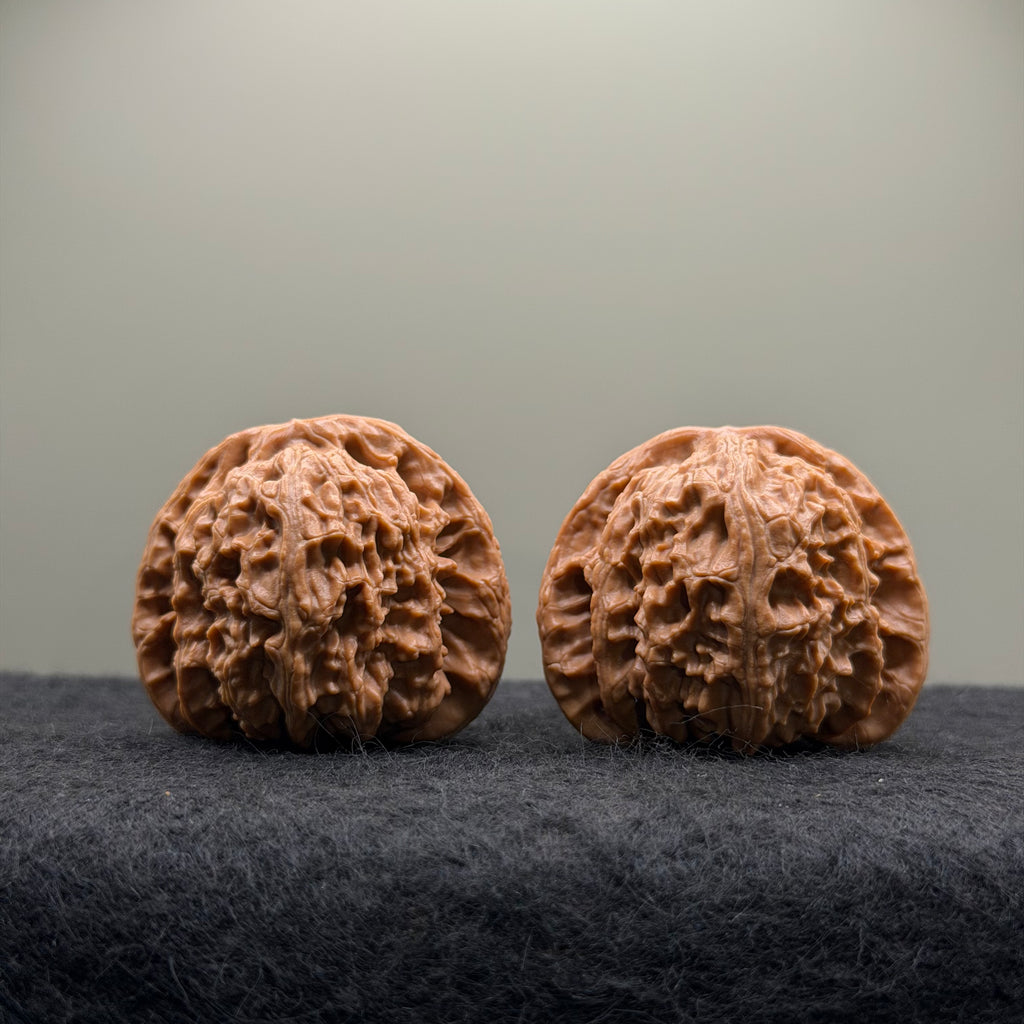 White Lion Wenwan Walnut · 42mm · Select Ritual
