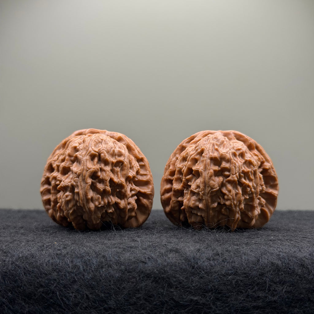 White Lion Wenwan Walnut · 42mm · Select Ritual