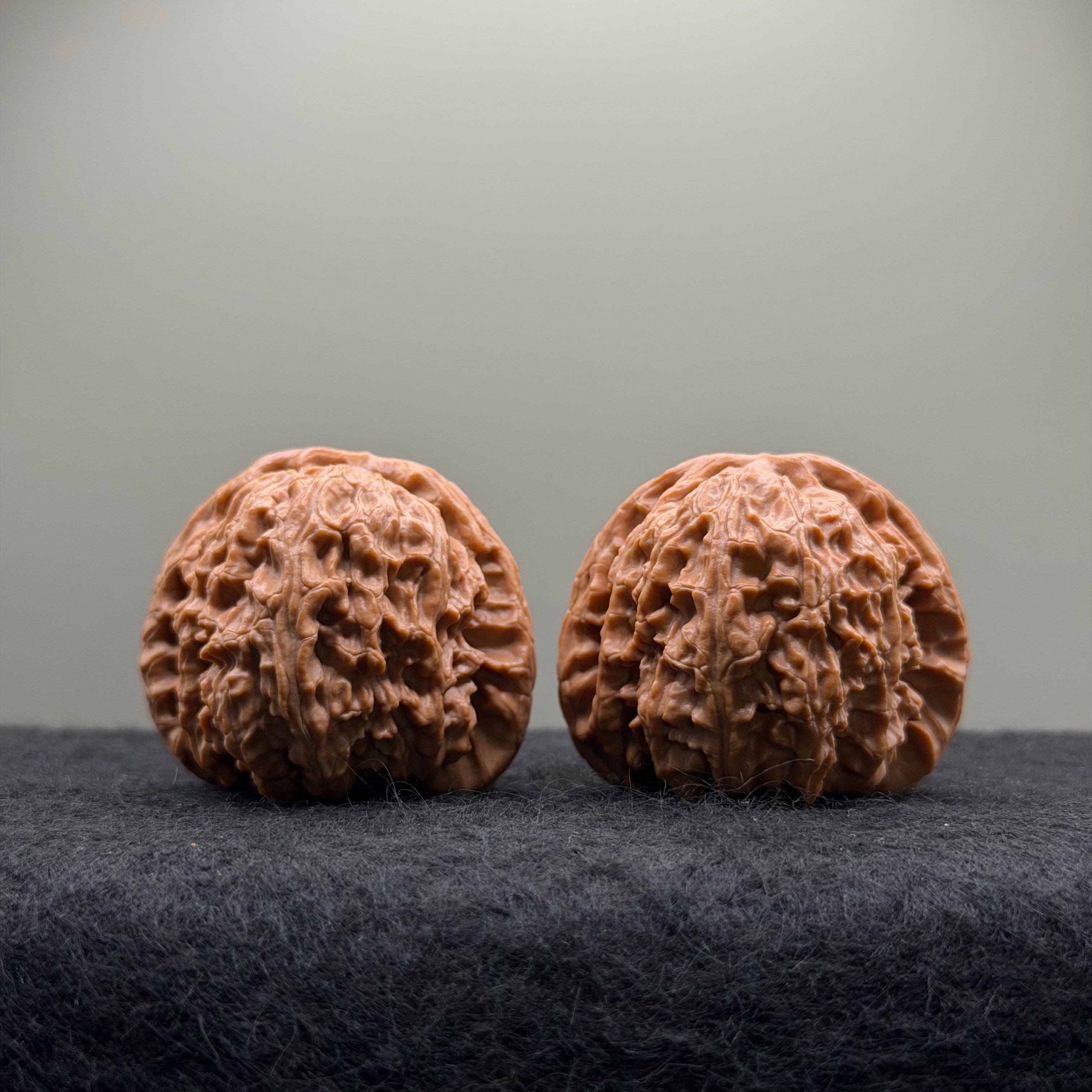 White Lion Wenwan Walnut · 42mm · Select Ritual