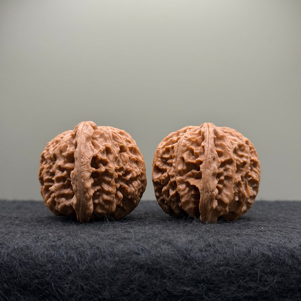 White Lion Wenwan Walnut · 42mm · Select Ritual
