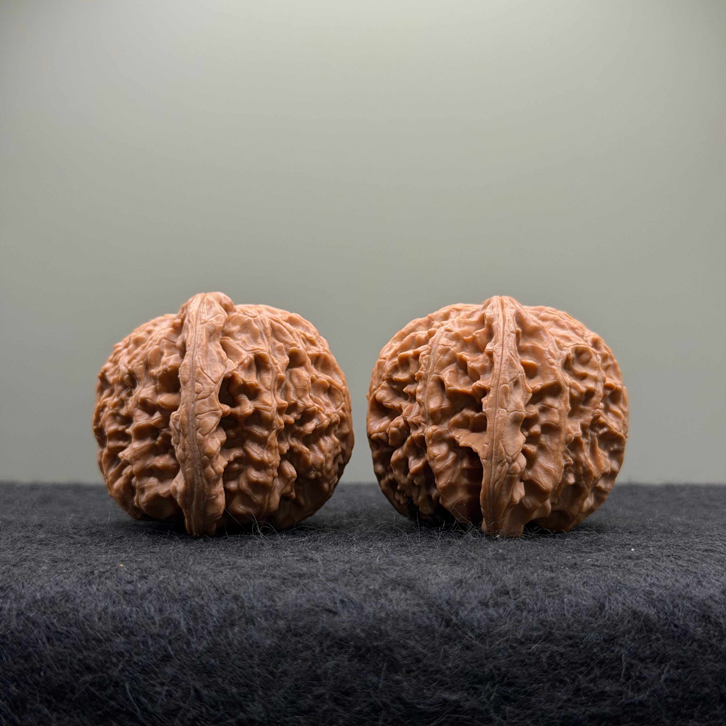 White Lion Wenwan Walnut · 42mm · Select Ritual