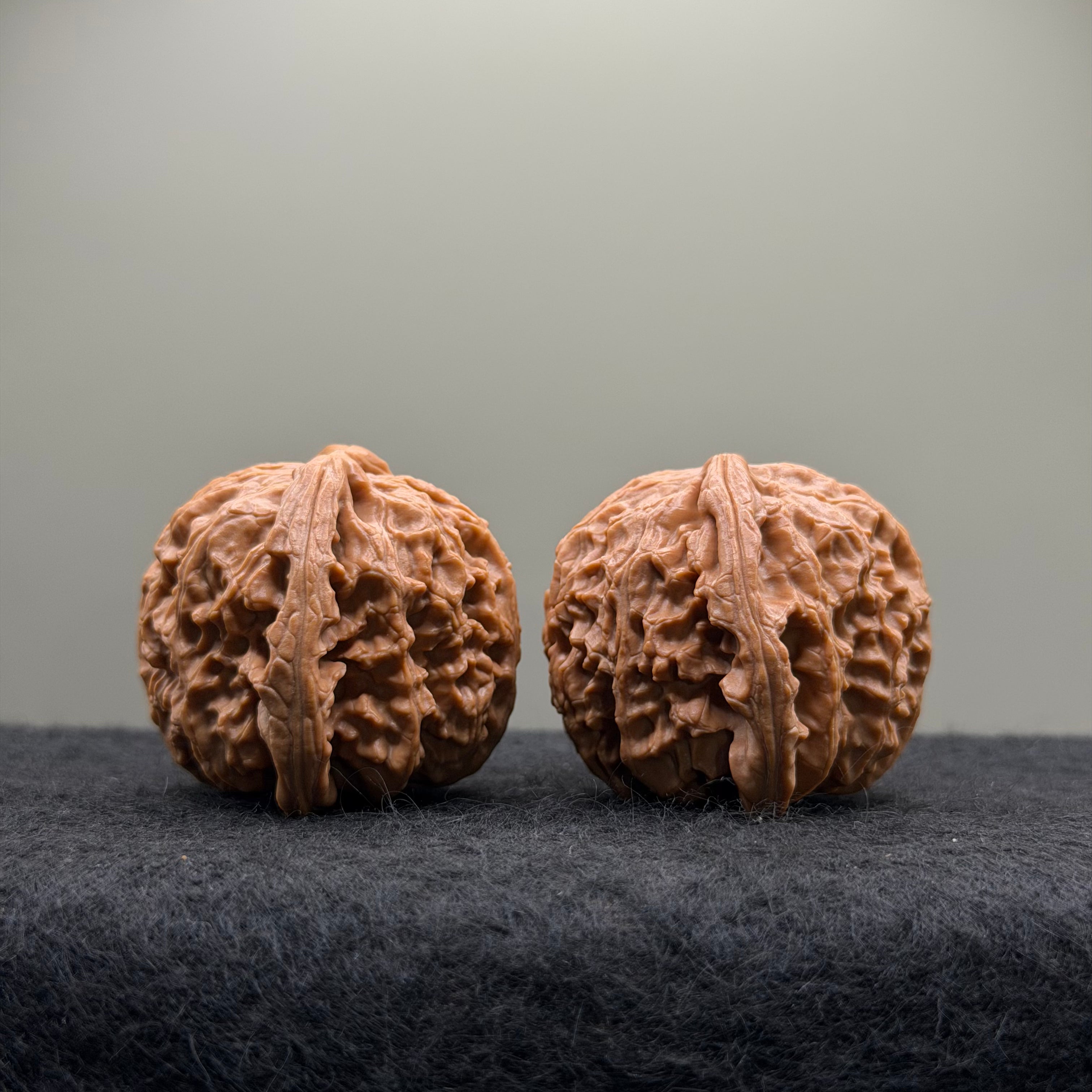 White Lion Wenwan Walnut · 42mm · Select Ritual