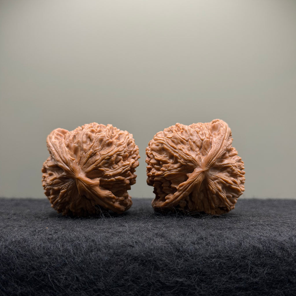 White Lion Wenwan Walnut · 42mm · Select Ritual