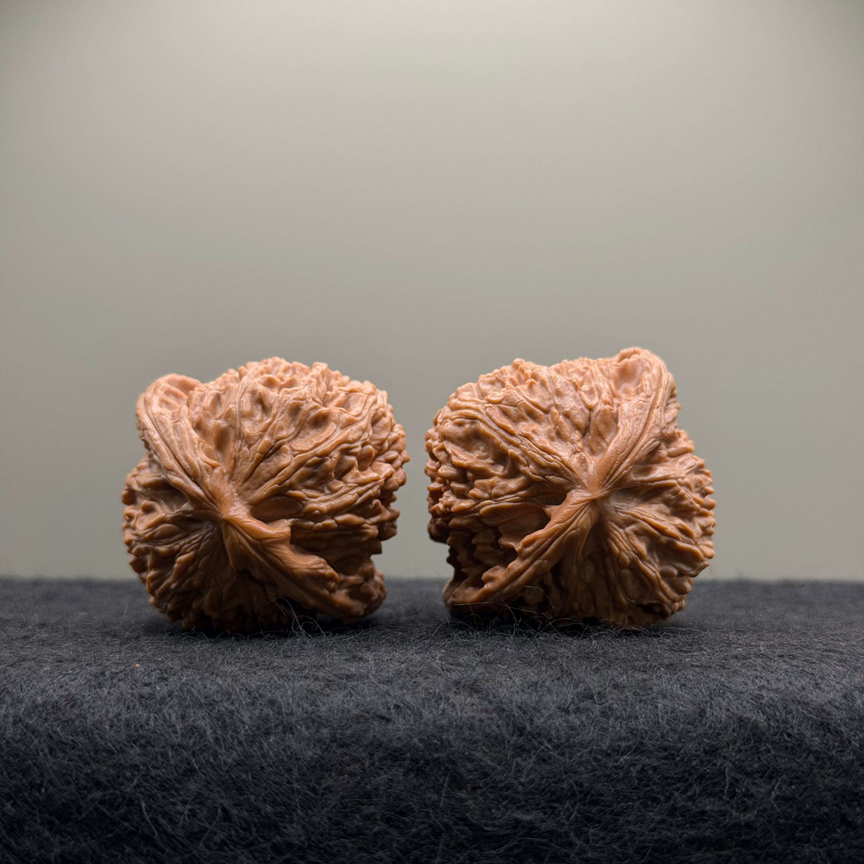 White Lion Wenwan Walnut · 42mm · Select Ritual